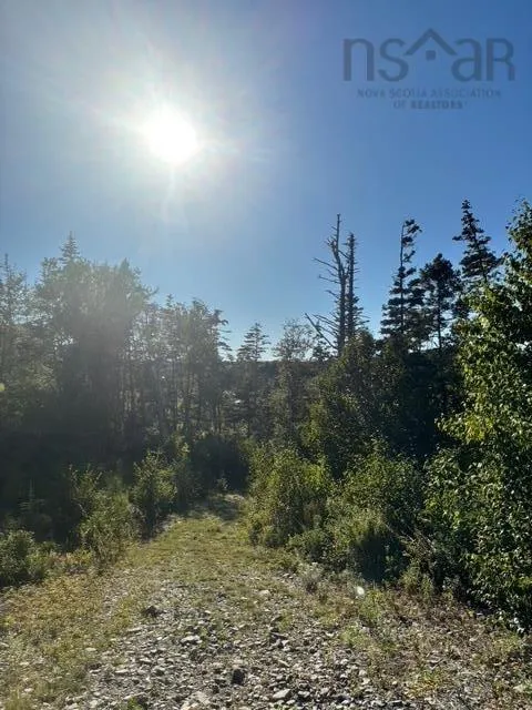Highway 7 Lot 2, Port Dufferin, NS B0J 2R0, ,Land,For Sale,Highway 7,202523230