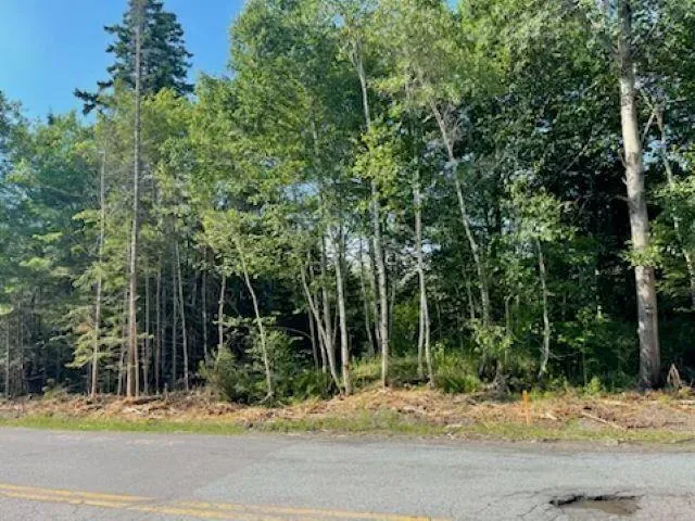 North River Road Lot A, Aylesford Lake Ns B0p 1c0, ,Land,For Sale,North River,202416184