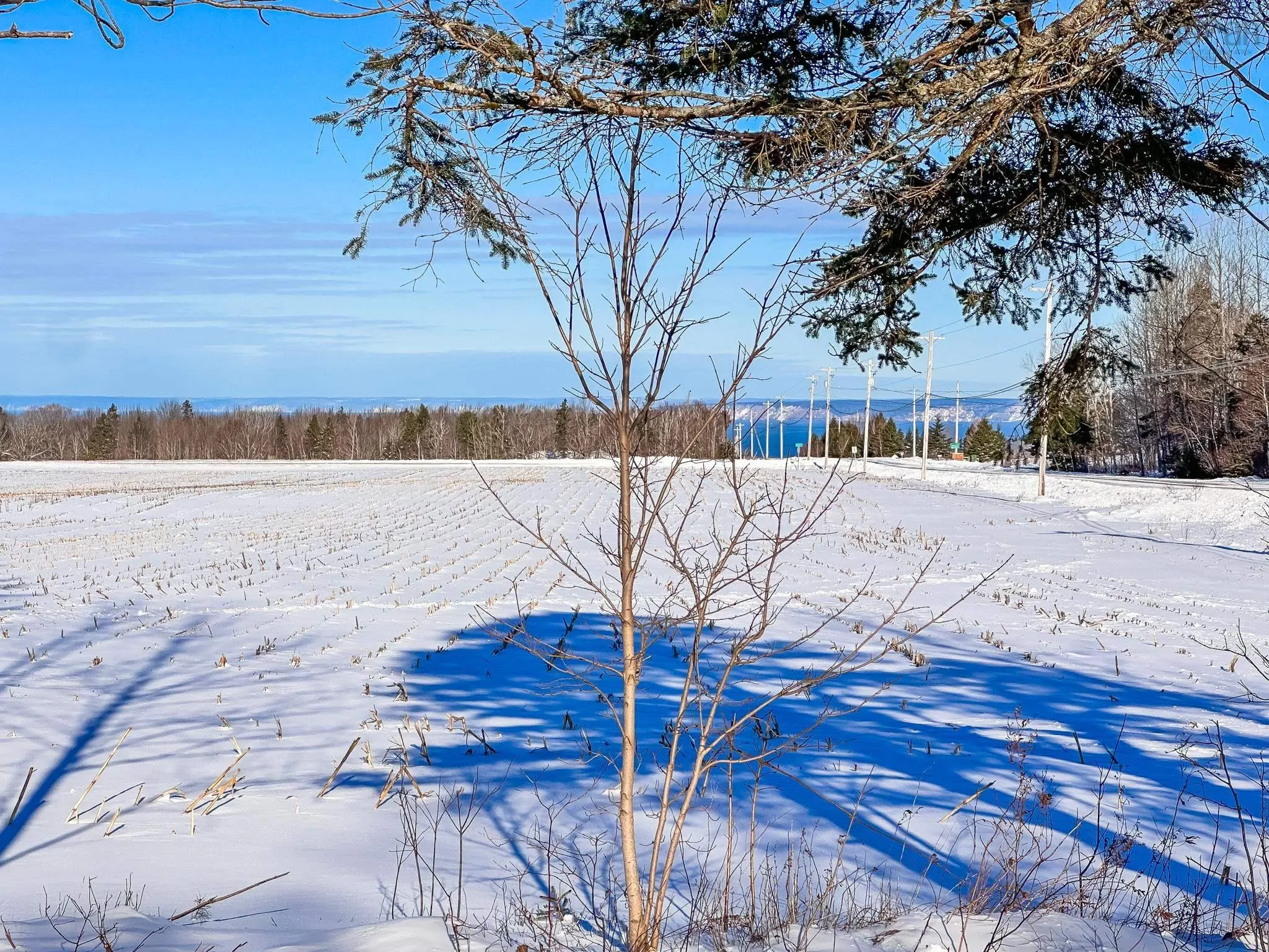 1587 Highway 360, Garland Ns B0p 1e0, 3 Bedrooms Bedrooms, ,1 BathroomBathrooms,Residential,For Sale,Highway 360,202503720