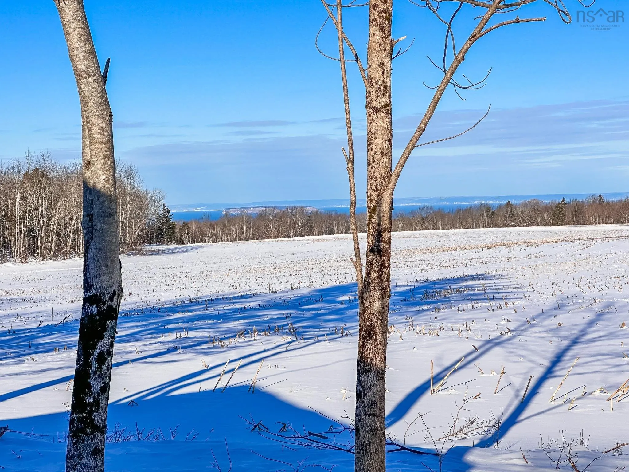 1587 Highway 360, Garland Ns B0p 1e0, 3 Bedrooms Bedrooms, ,1 BathroomBathrooms,Residential,For Sale,Highway 360,202503720