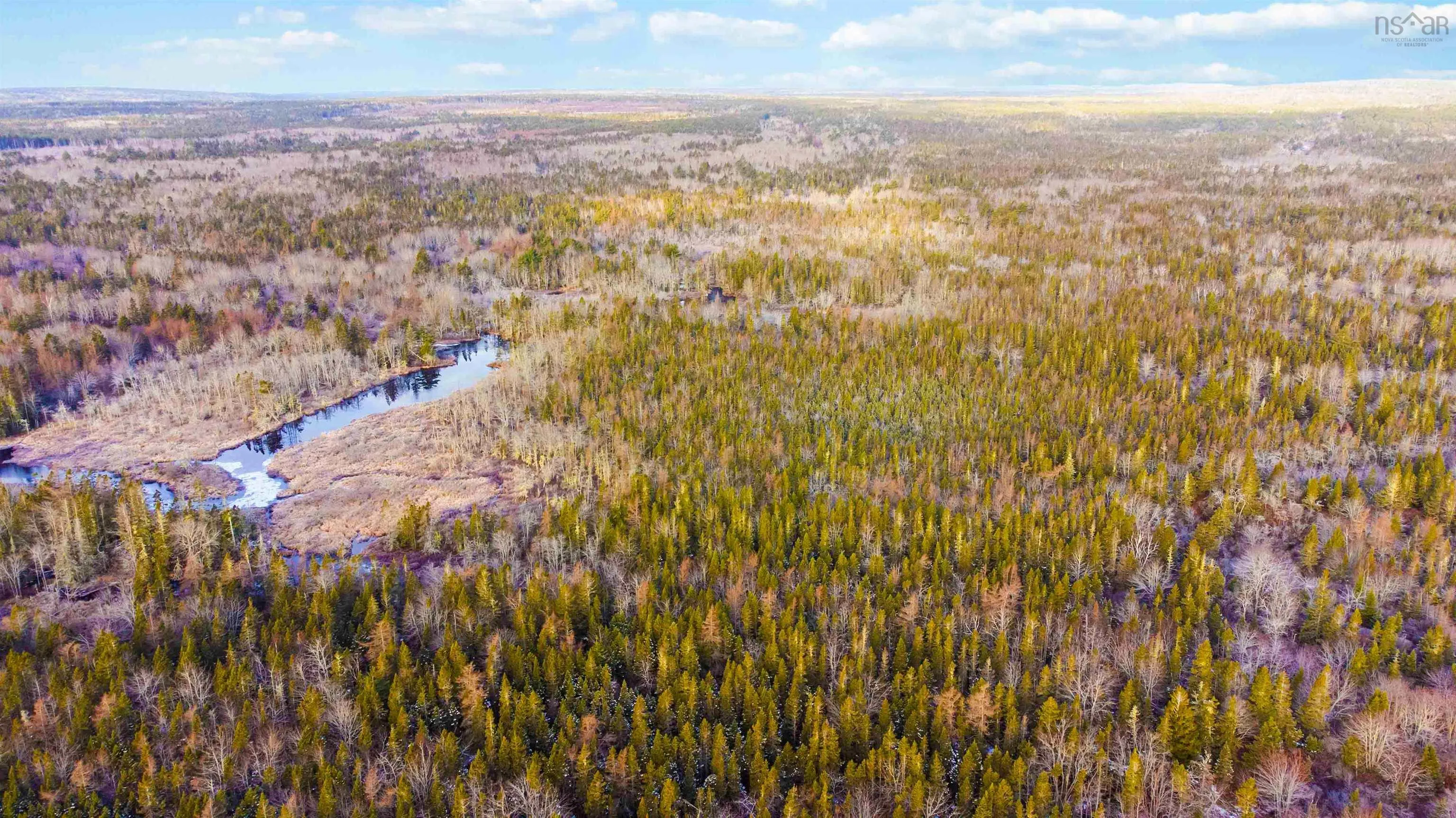 761 Eastern Shore Road, Beach Meadows, NS B0J 1H0, ,Land,For Sale,Eastern Shore,202511364