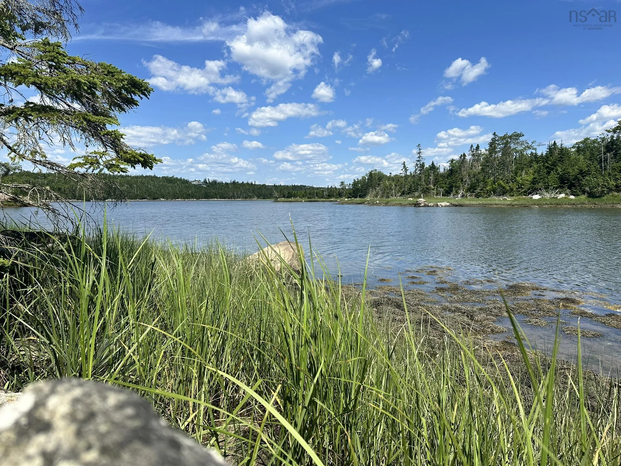 184 Westside Inlet Drive, West Petpeswick, NS B0J 2L0, ,Land,For Sale,Westside Inlet,202519039