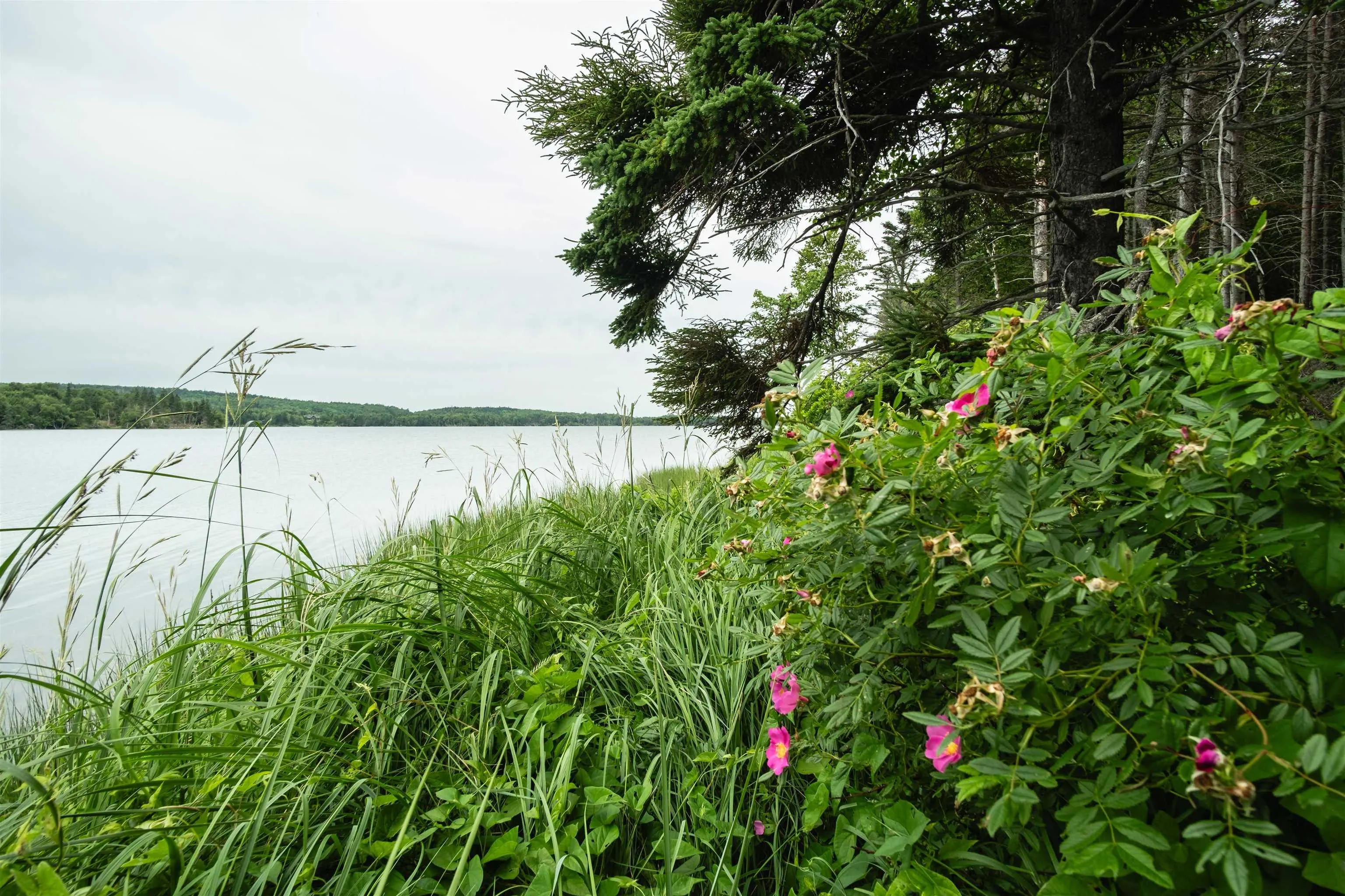 Militia Point Road Lot 30, Militia Point Ns B0e 2y0, ,Land,For Sale,Militia Point,202508186