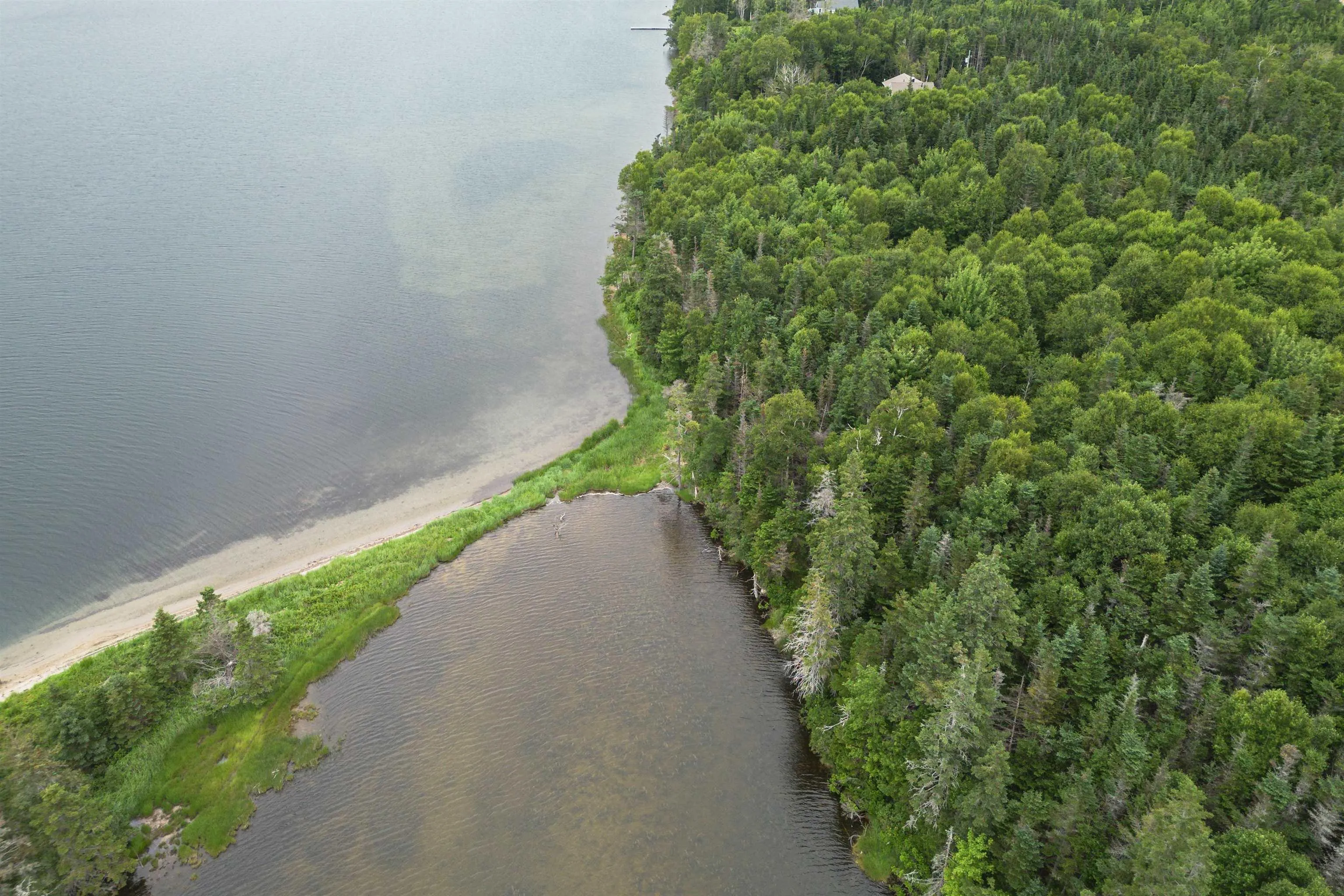 Militia Point Road Lot 30, Militia Point Ns B0e 2y0, ,Land,For Sale,Militia Point,202508186