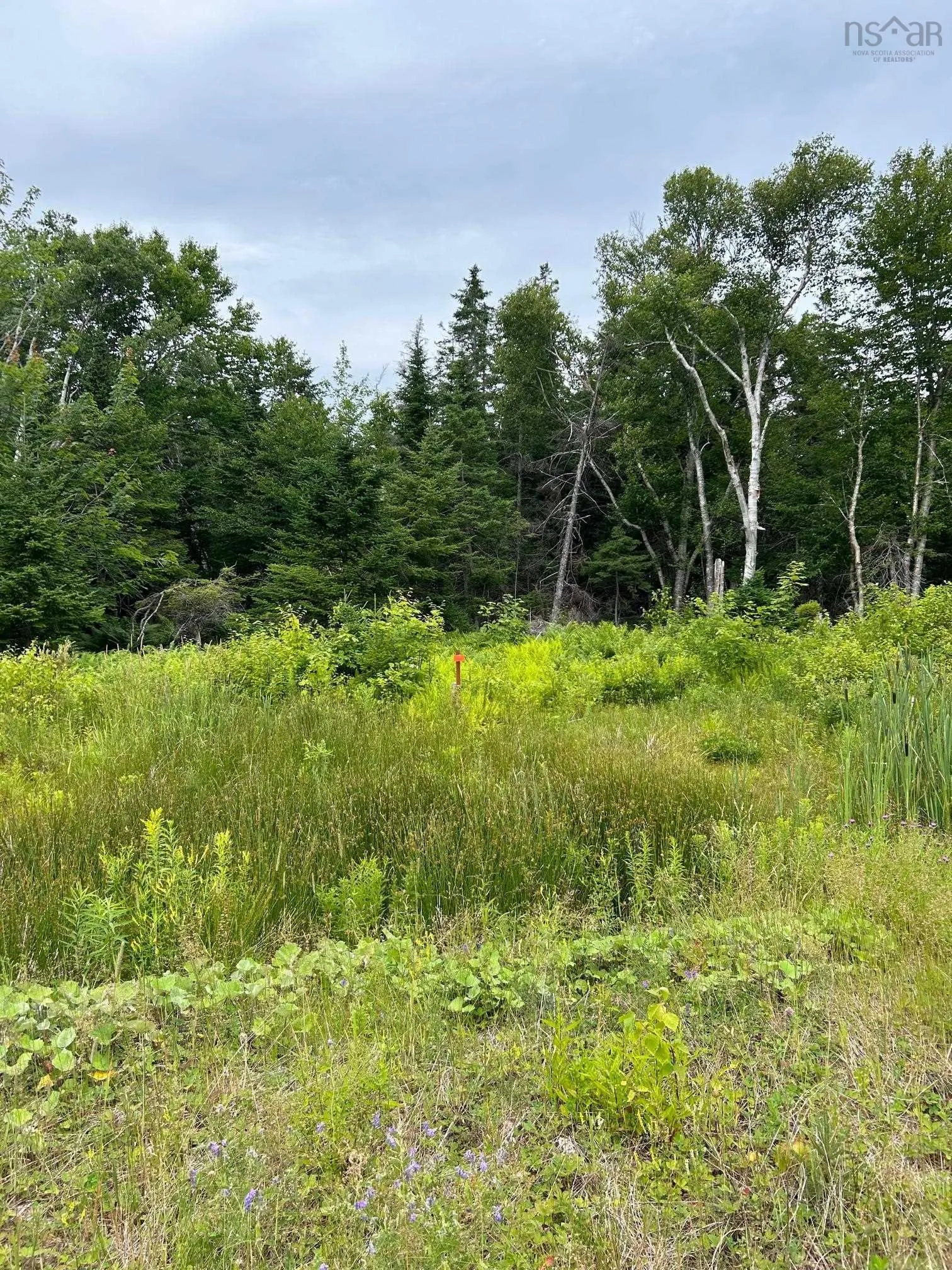 Militia Point Road Lot 30, Militia Point Ns B0e 2y0, ,Land,For Sale,Militia Point,202508186