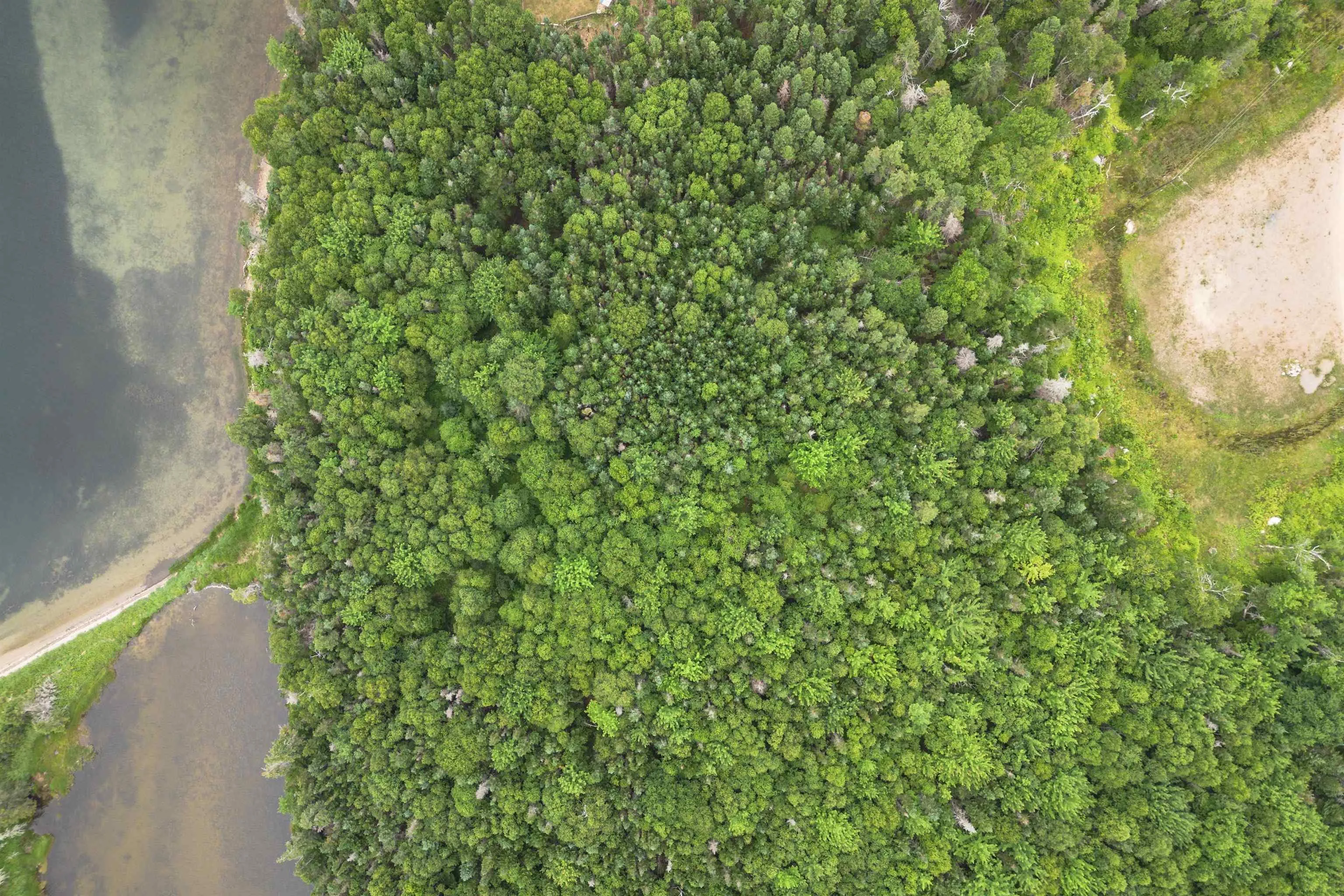 Militia Point Road Lot 30, Militia Point Ns B0e 2y0, ,Land,For Sale,Militia Point,202508186