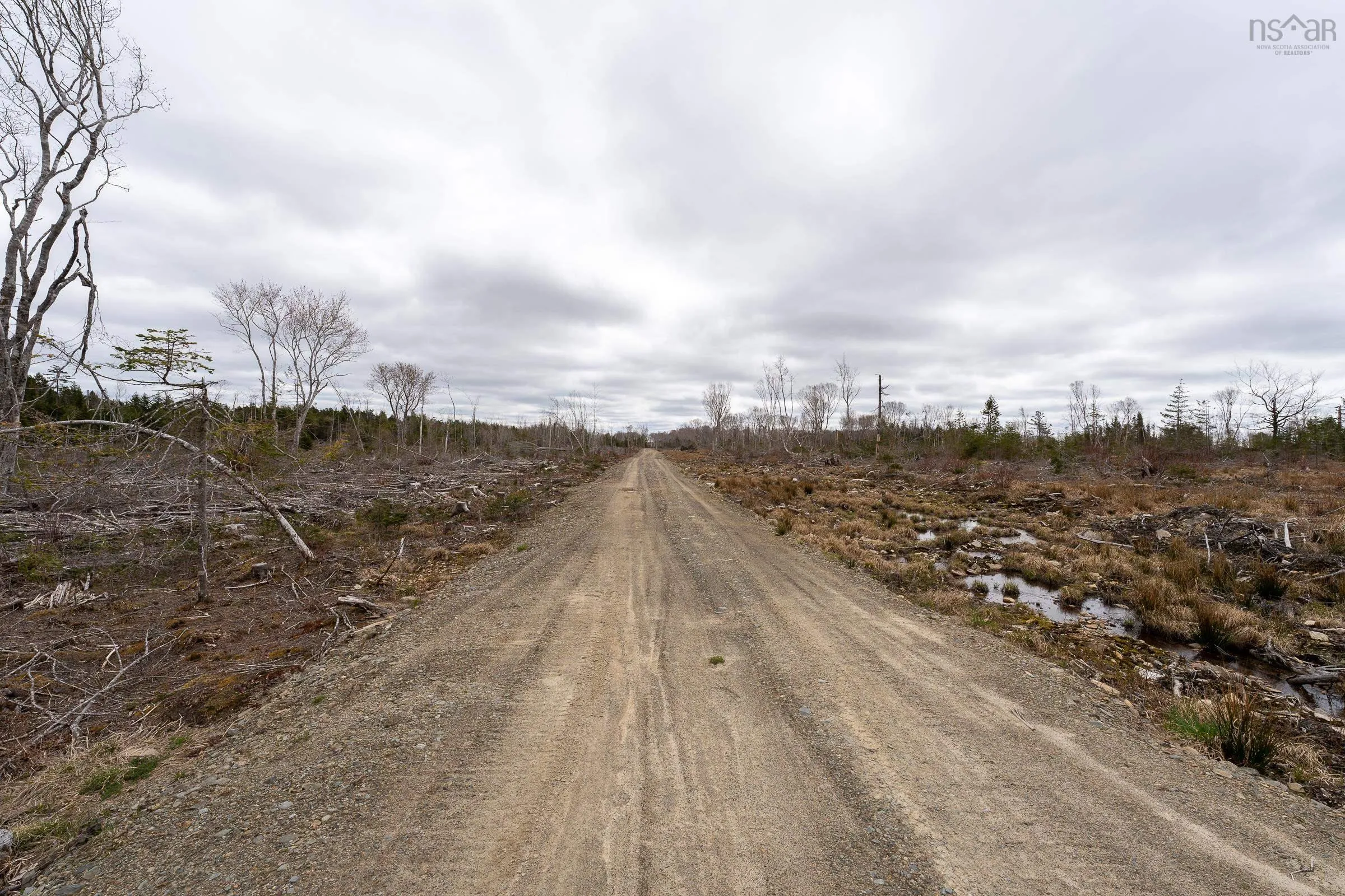 Lot 13 Patrice Road, Corberrie Ns B0w 3t0, ,Land,For Sale,Patrice Road,202425481