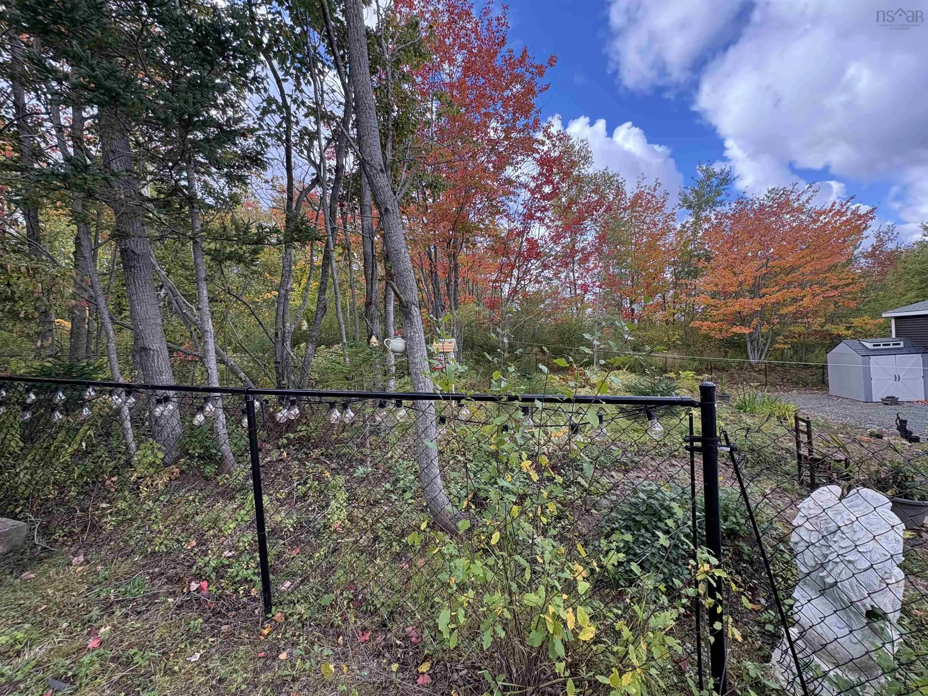 6106 Highway 4 Highway, Linacy, NS B2H 5C4, 3 Bedrooms Bedrooms, ,2 BathroomsBathrooms,Residential,For Sale,4,202524794