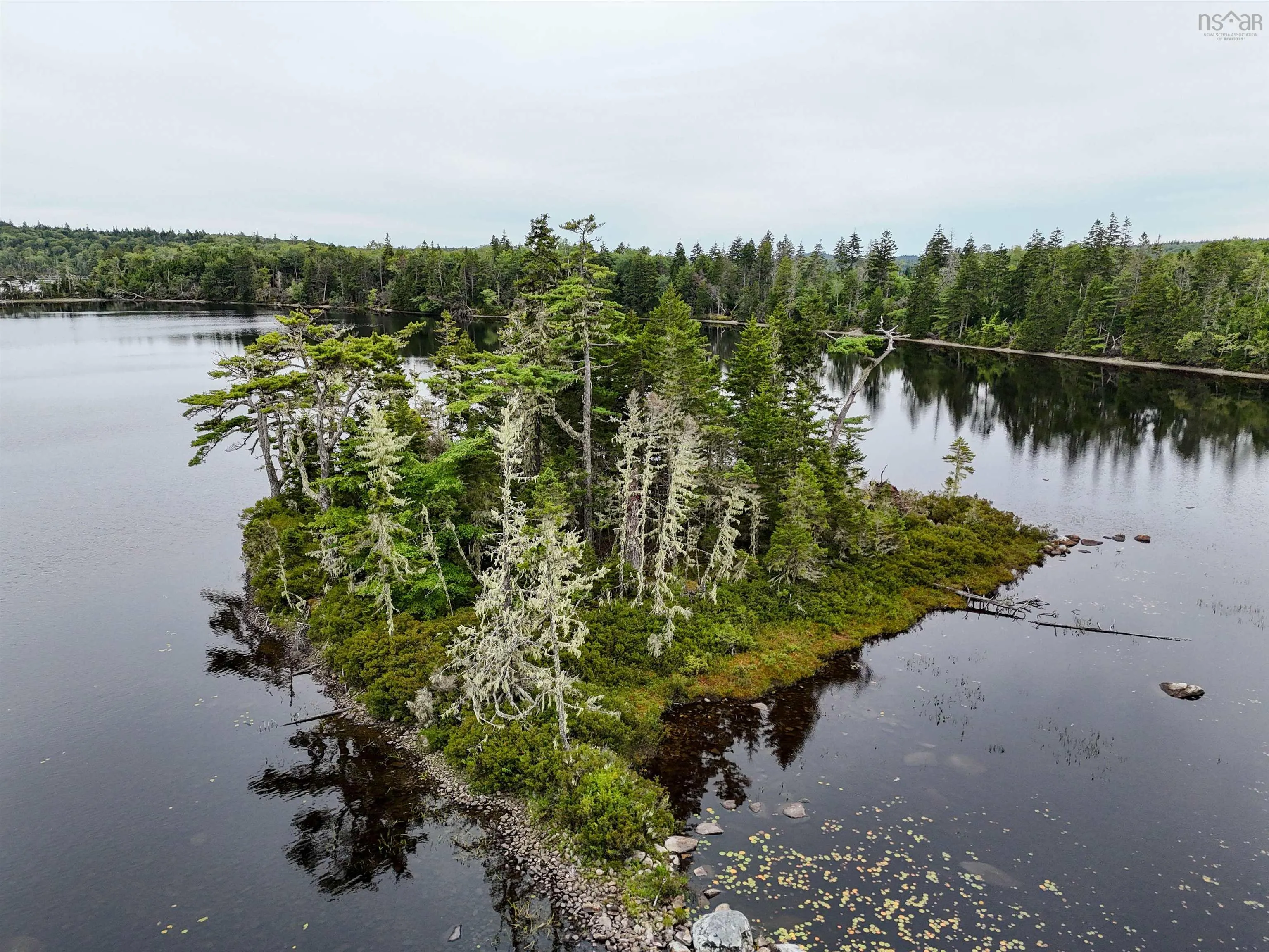 Level Spot Lake, Lake Charlotte, NS B0J 1W0, ,Land,For Sale,Level Spot Lake,202522393