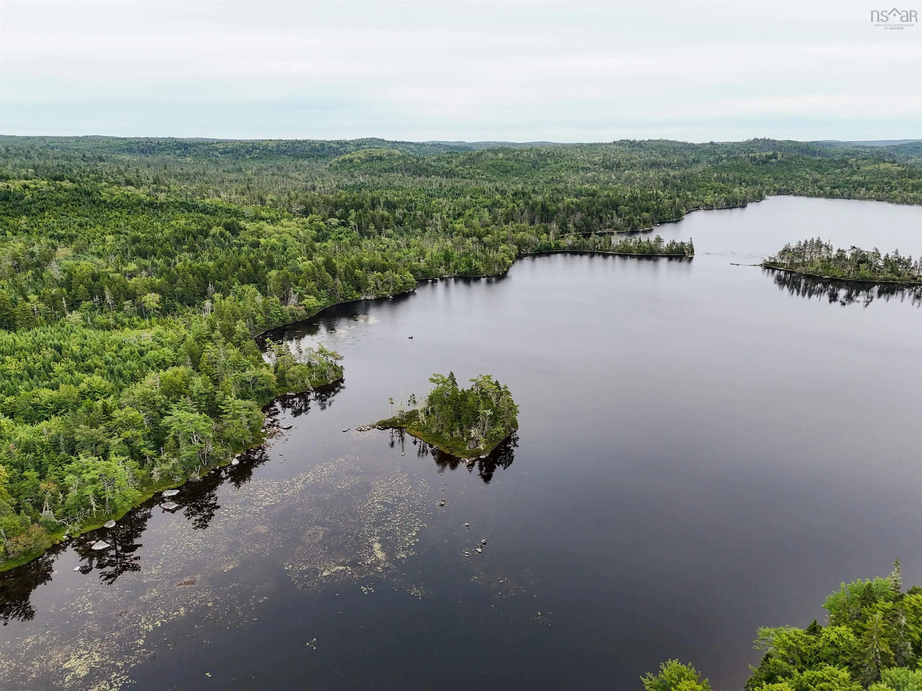 Level Spot Lake, Lake Charlotte, NS B0J 1W0, ,Land,For Sale,Level Spot Lake,202522393