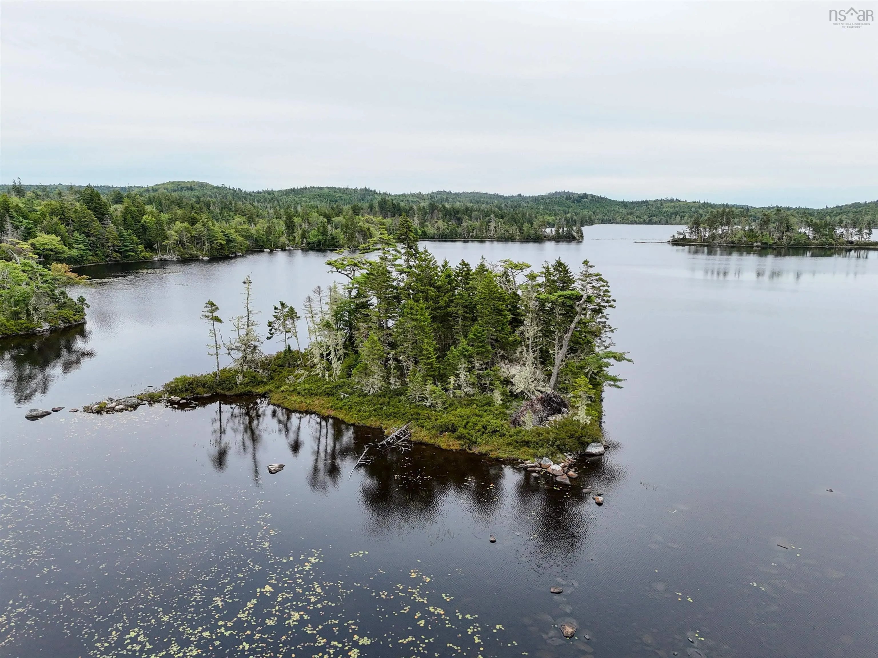 Level Spot Lake, Lake Charlotte, NS B0J 1W0, ,Land,For Sale,Level Spot Lake,202522393
