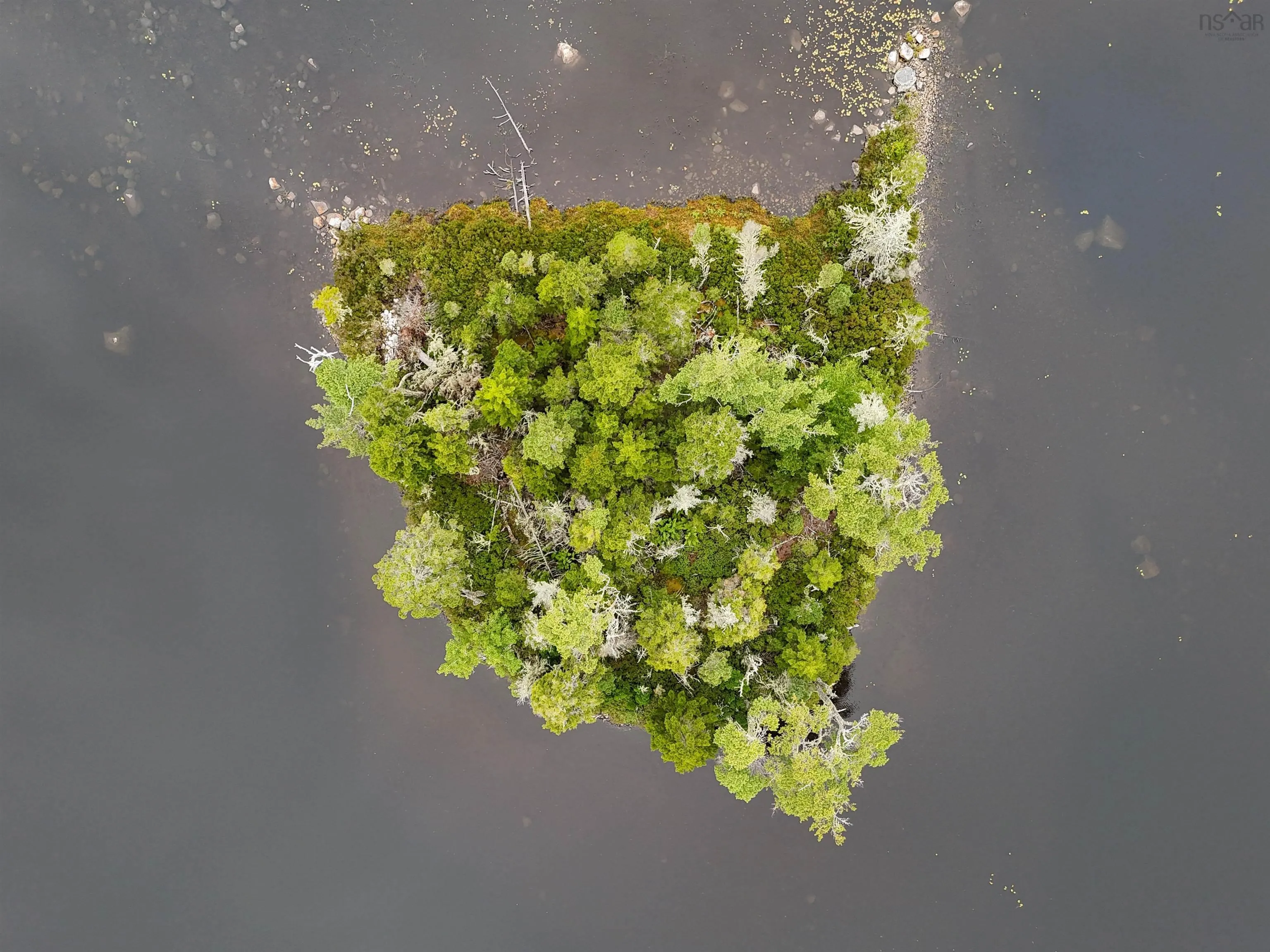 Level Spot Lake, Lake Charlotte, NS B0J 1W0, ,Land,For Sale,Level Spot Lake,202522393