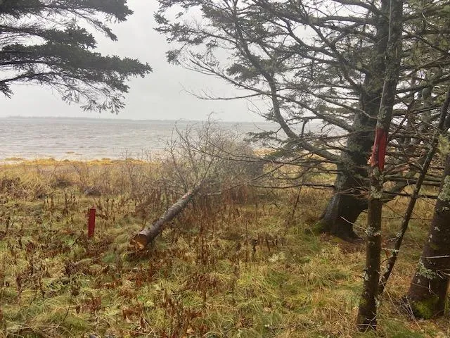 Port Latour Road, Reynoldscroft Ns B0w 1e0, ,Land,For Sale,Port Latour,202428226