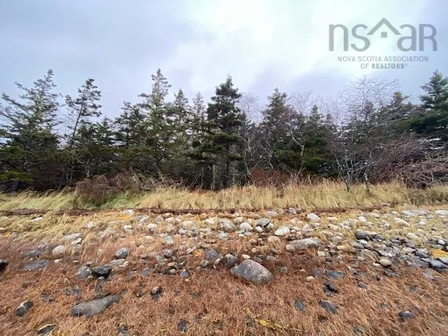 Port Latour Road, Reynoldscroft Ns B0w 1e0, ,Land,For Sale,Port Latour,202428226