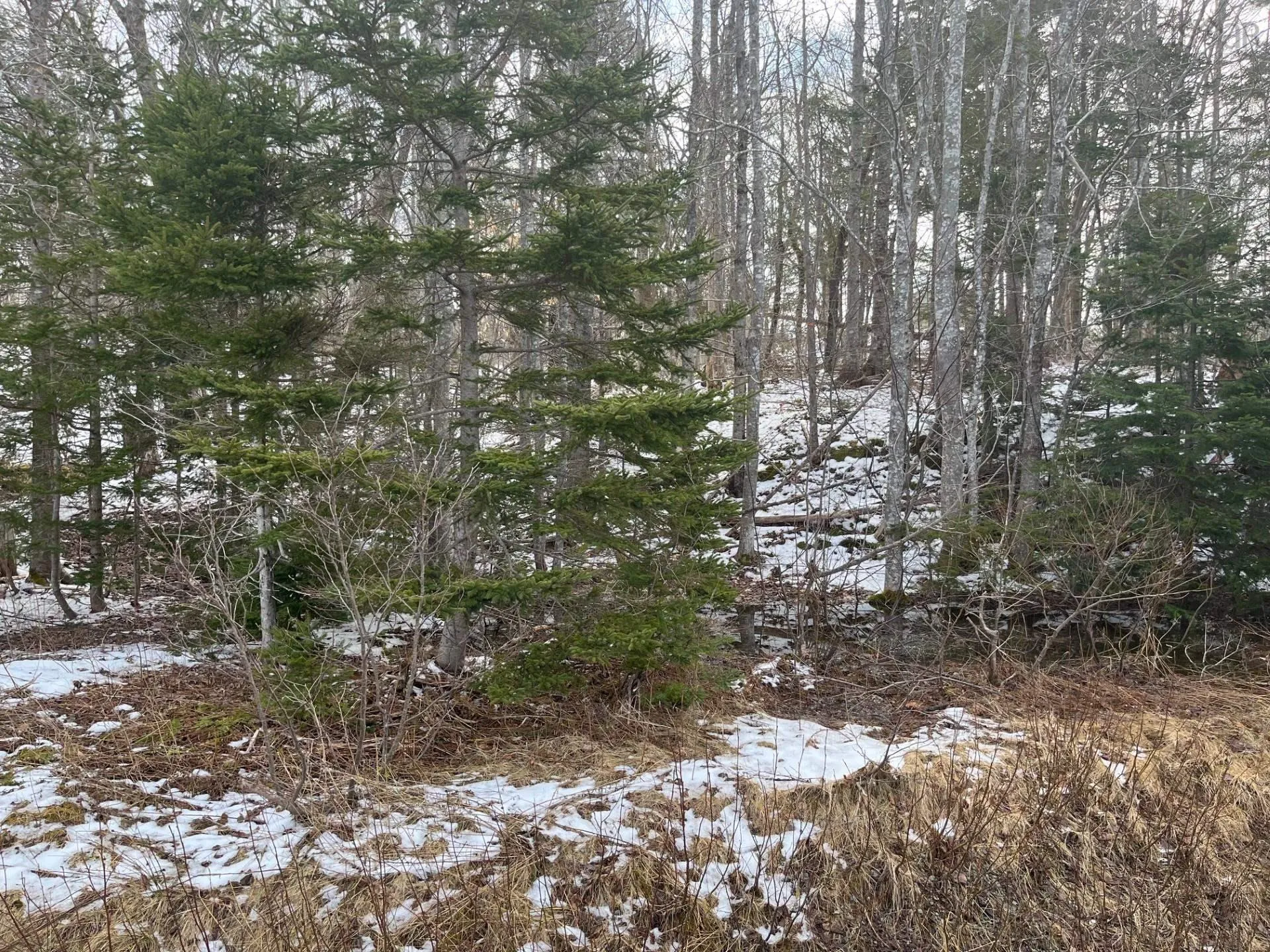 Kempt Head Road, Ross Ferry Ns B1x 1m1, ,Land,For Sale,Kempt Head,202501039