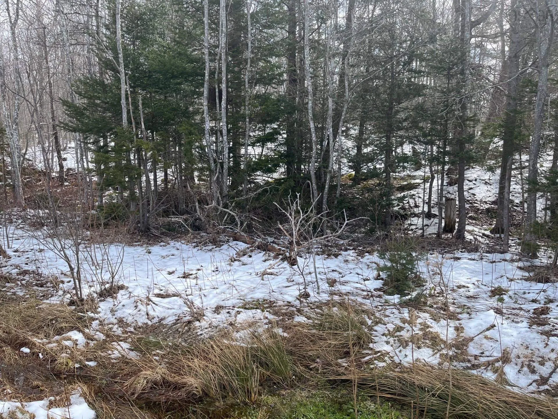 Kempt Head Road, Ross Ferry Ns B1x 1m1, ,Land,For Sale,Kempt Head,202501039