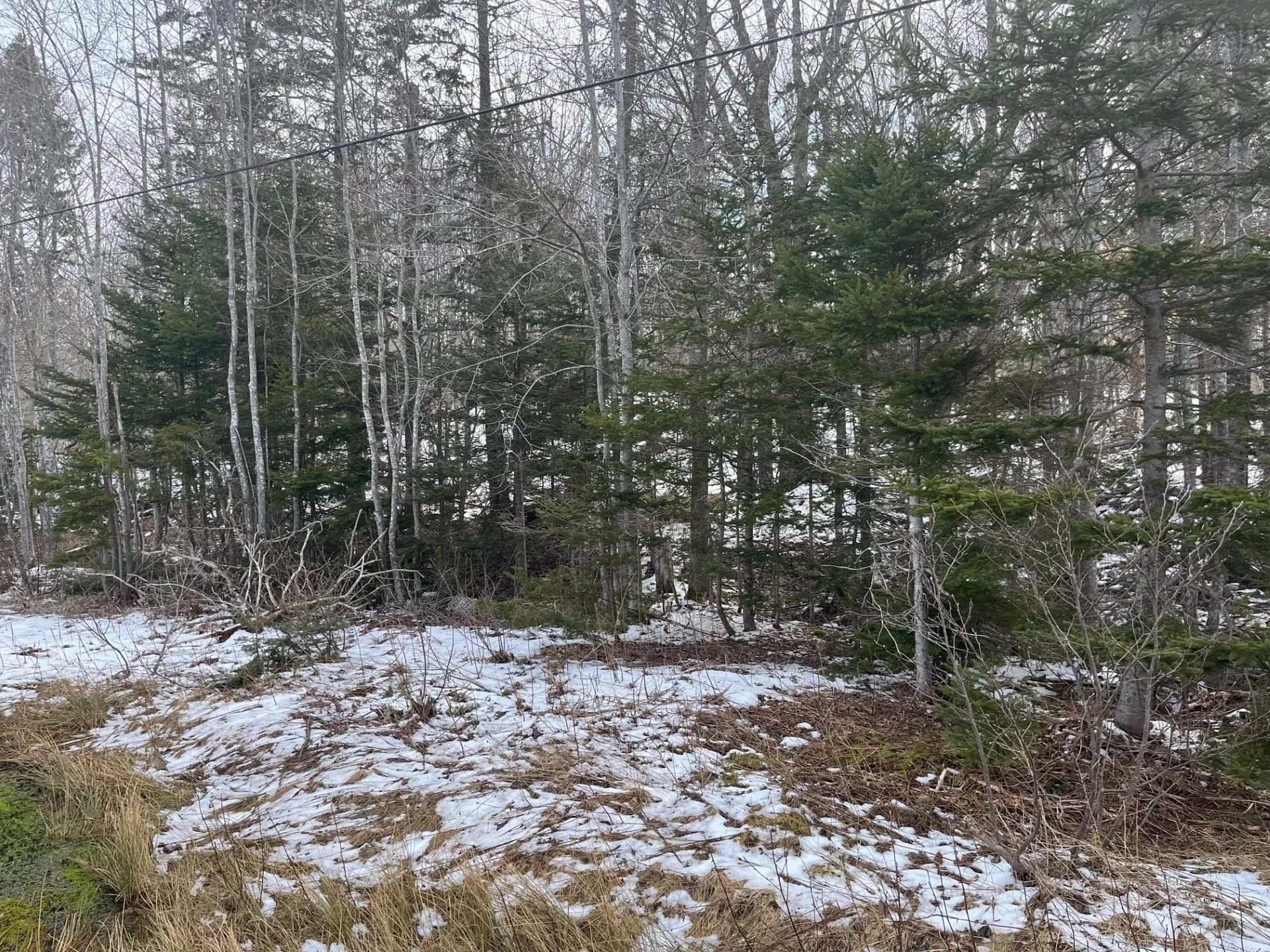 Kempt Head Road, Ross Ferry Ns B1x 1m1, ,Land,For Sale,Kempt Head,202501039