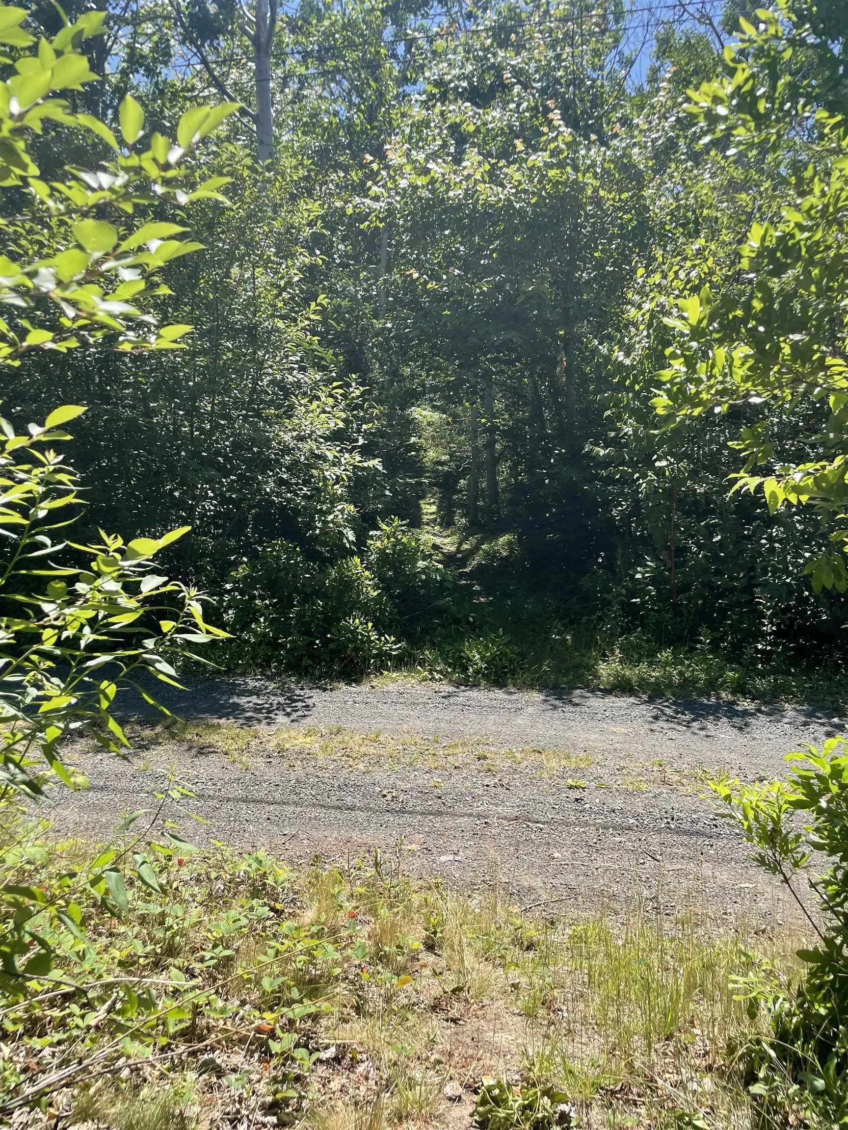 27 Old Ferry Road, Bayfield, NS B0H 1R0, ,Land,For Sale,Old Ferry,202521614
