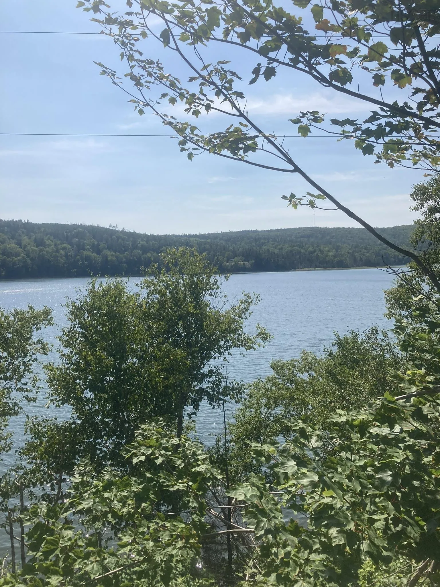 316 Highway, Country Harbour Mines, NS B0H 1J0, ,Land,For Sale,316,202522780