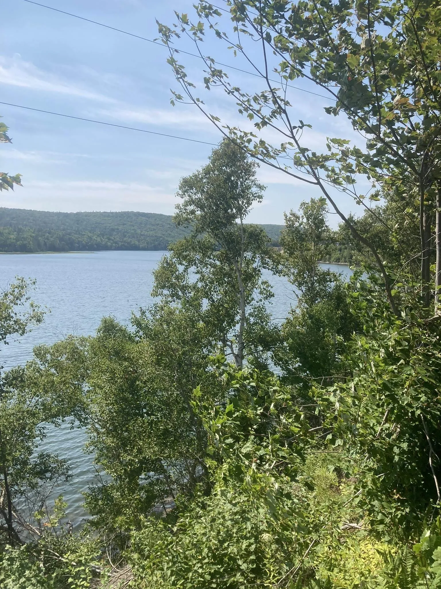 316 Highway, Country Harbour Mines, NS B0H 1J0, ,Land,For Sale,316,202522780
