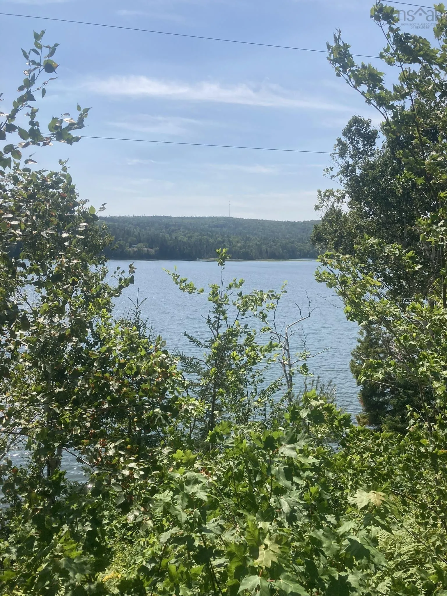 316 Highway, Country Harbour Mines, NS B0H 1J0, ,Land,For Sale,316,202522780