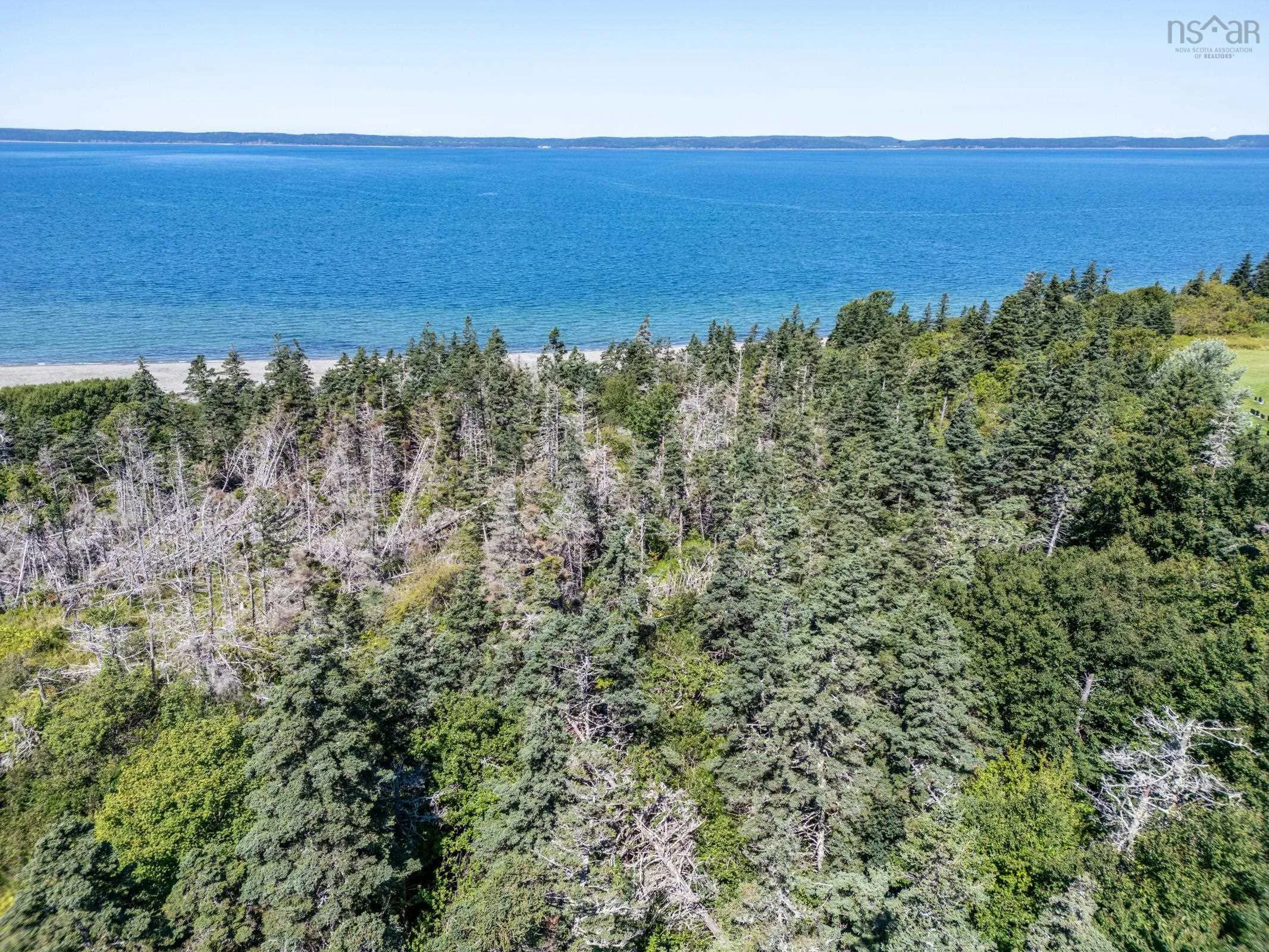 3611 Highway 1, St. Bernard Ns B0w 3t0, ,Land,For Sale,Highway 1,202503327