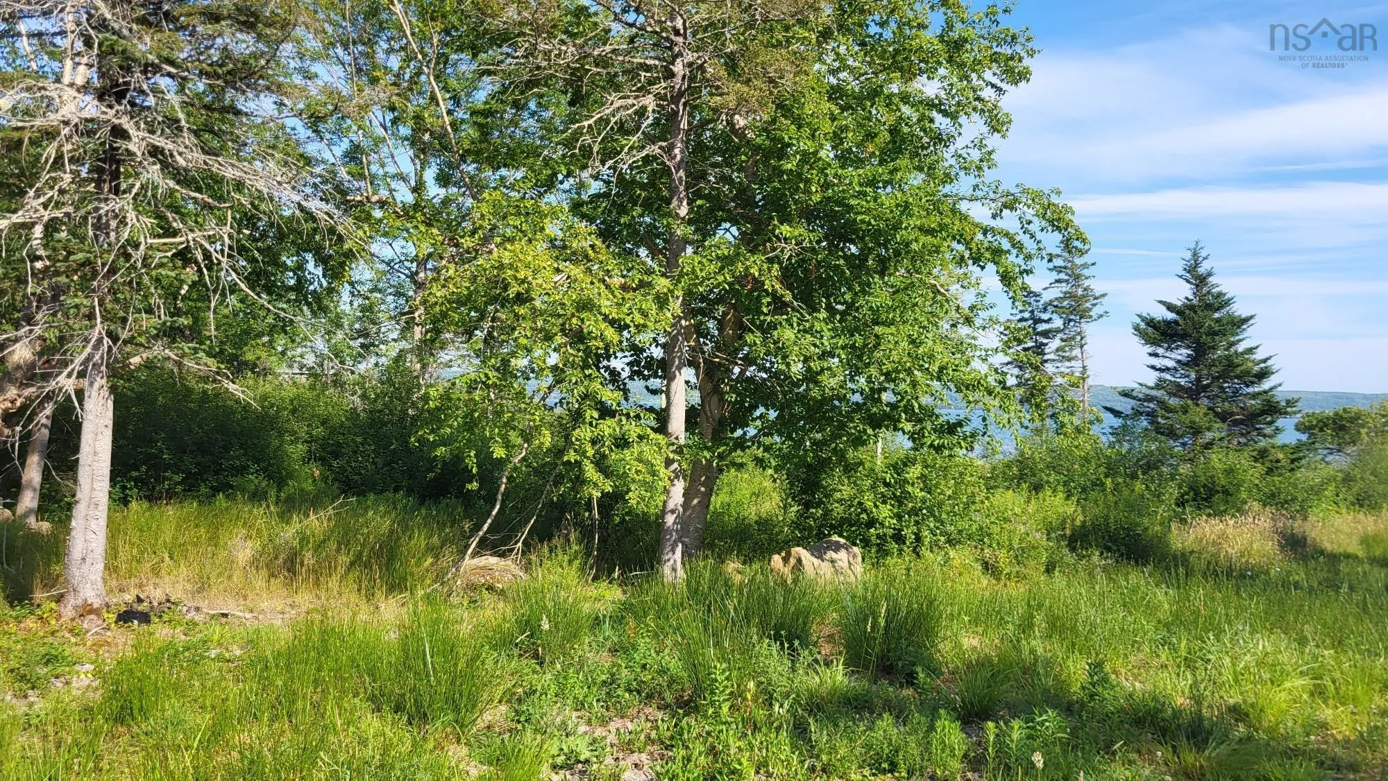 2628 Granville Road, Karsdale, NS B0S 1A0, ,Land,For Sale,Granville Road,202518060
