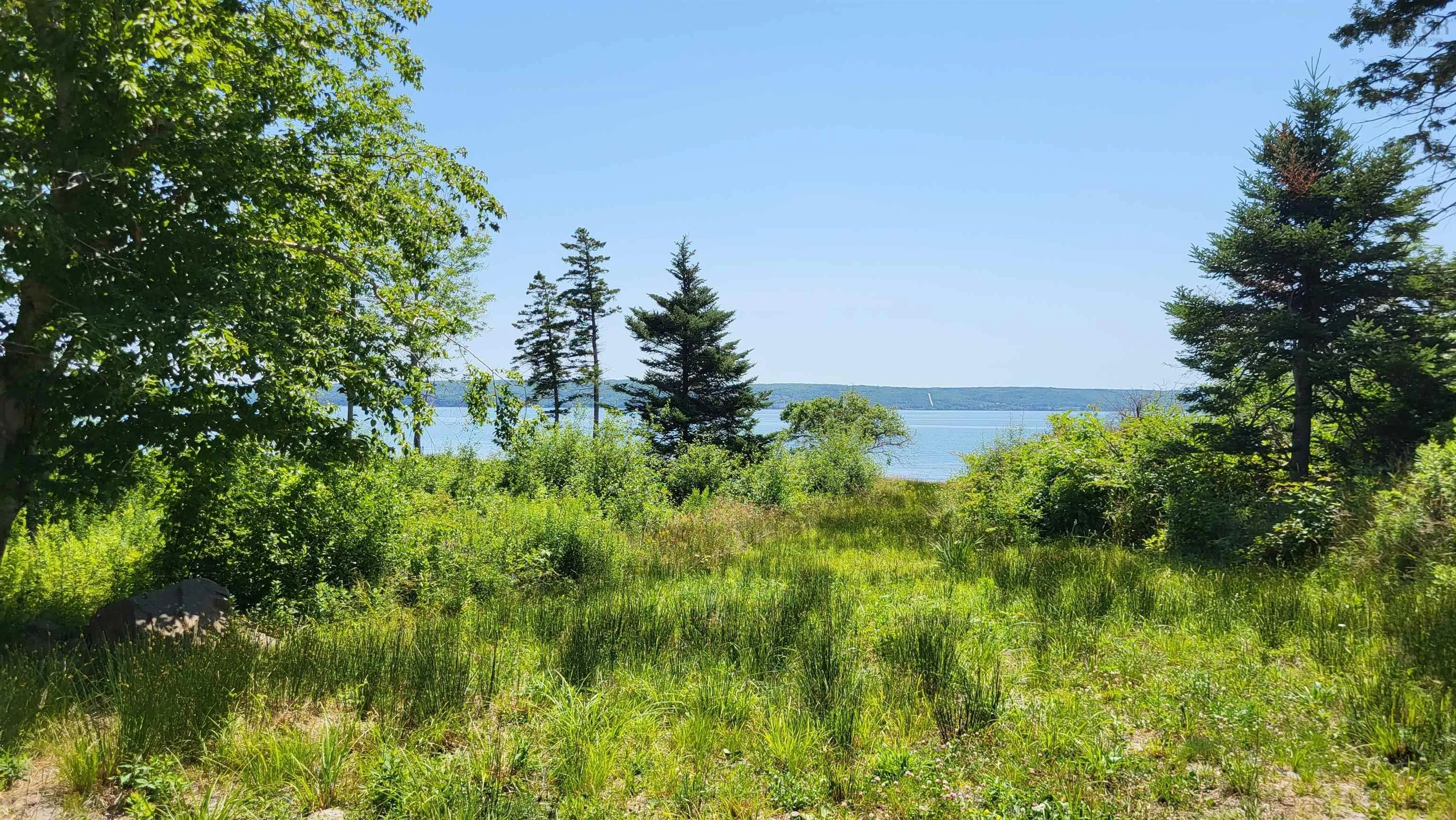2628 Granville Road, Karsdale, NS B0S 1A0, ,Land,For Sale,Granville Road,202518060