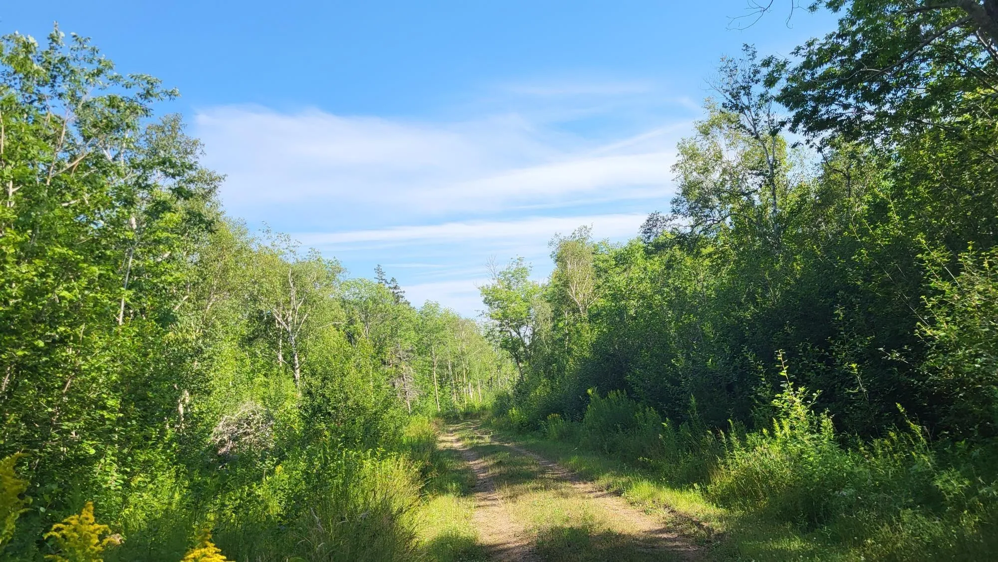 2628 Granville Road, Karsdale, NS B0S 1A0, ,Land,For Sale,Granville Road,202518060