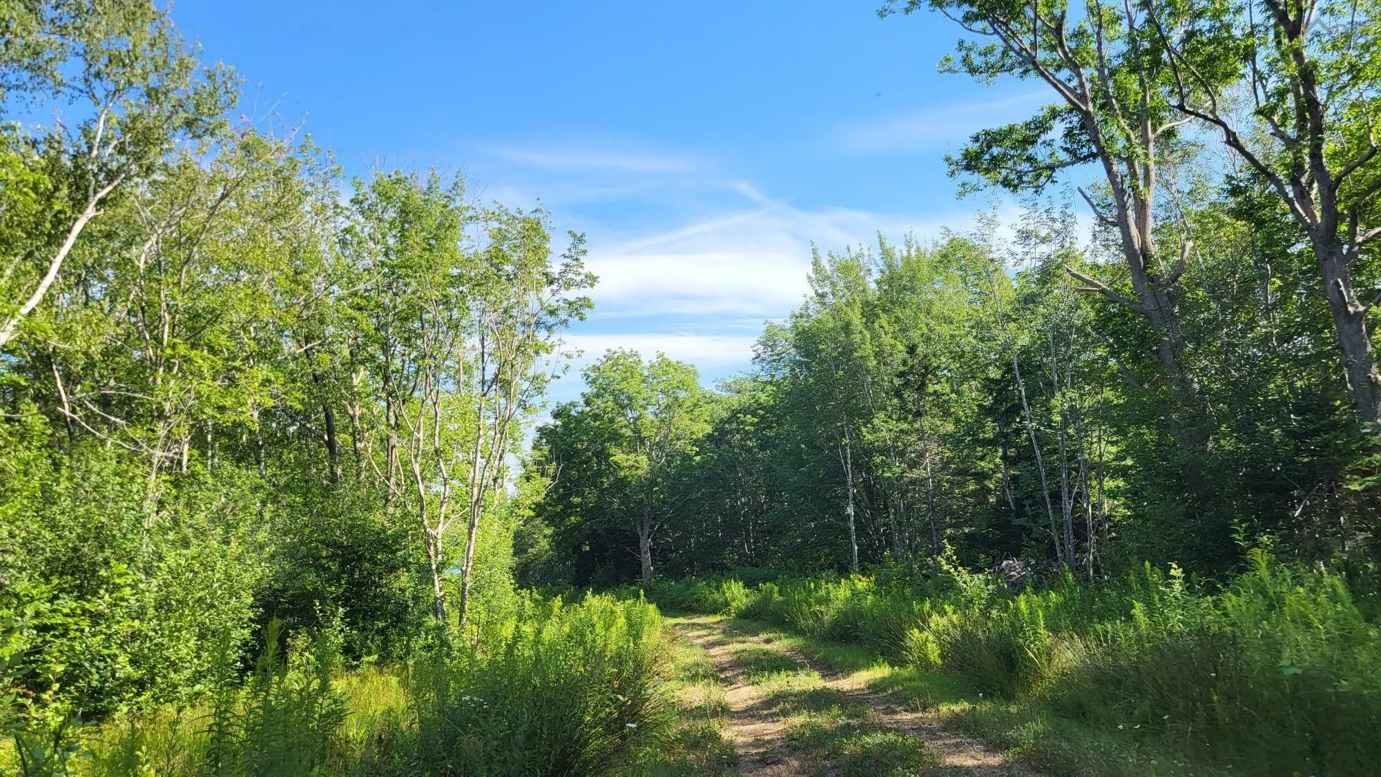 2628 Granville Road, Karsdale, NS B0S 1A0, ,Land,For Sale,Granville Road,202518060
