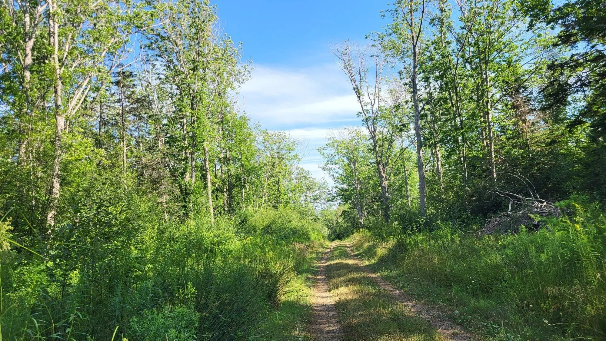 2628 Granville Road, Karsdale, NS B0S 1A0, ,Land,For Sale,Granville Road,202518060