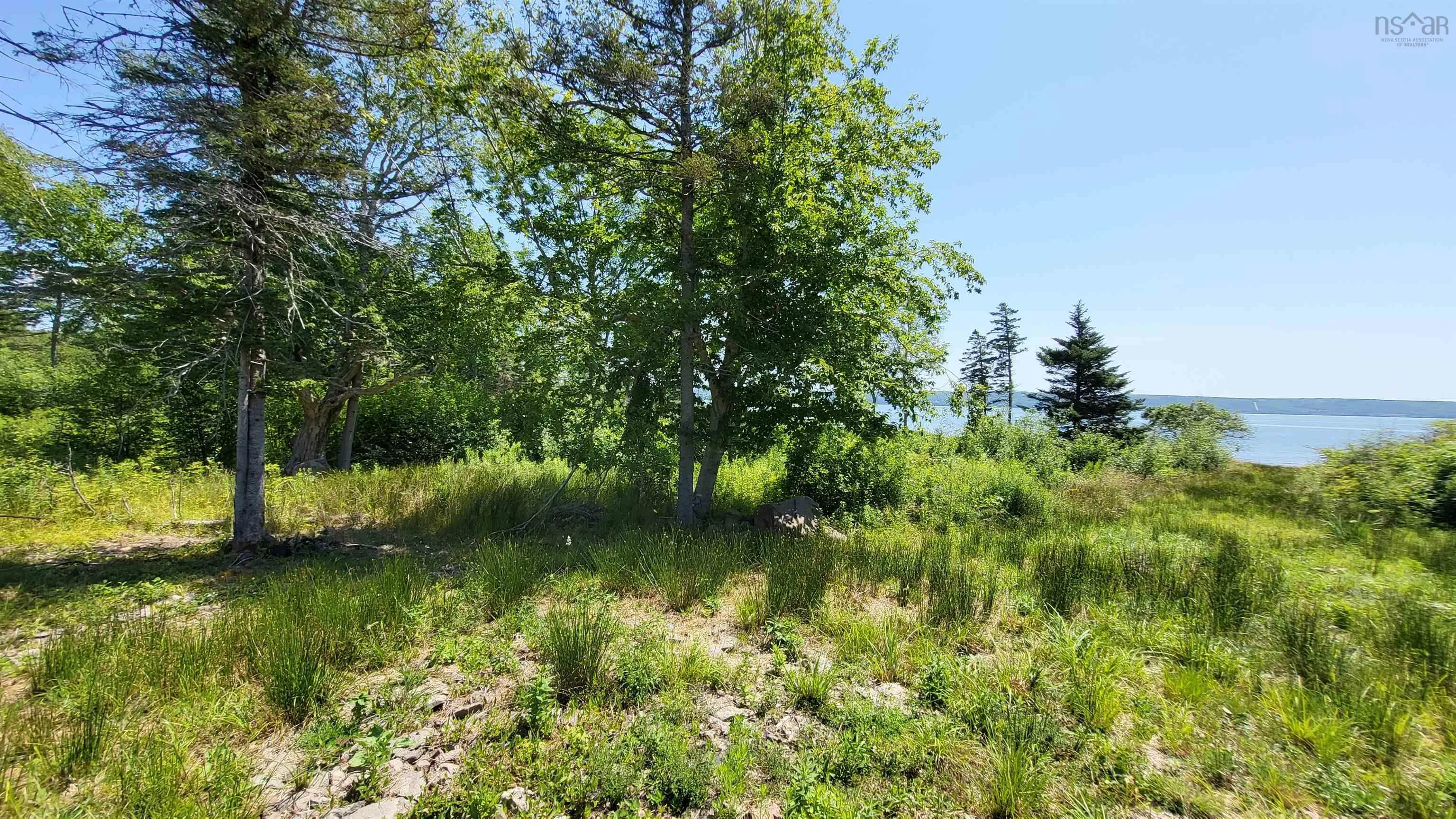 2628 Granville Road, Karsdale, NS B0S 1A0, ,Land,For Sale,Granville Road,202518060
