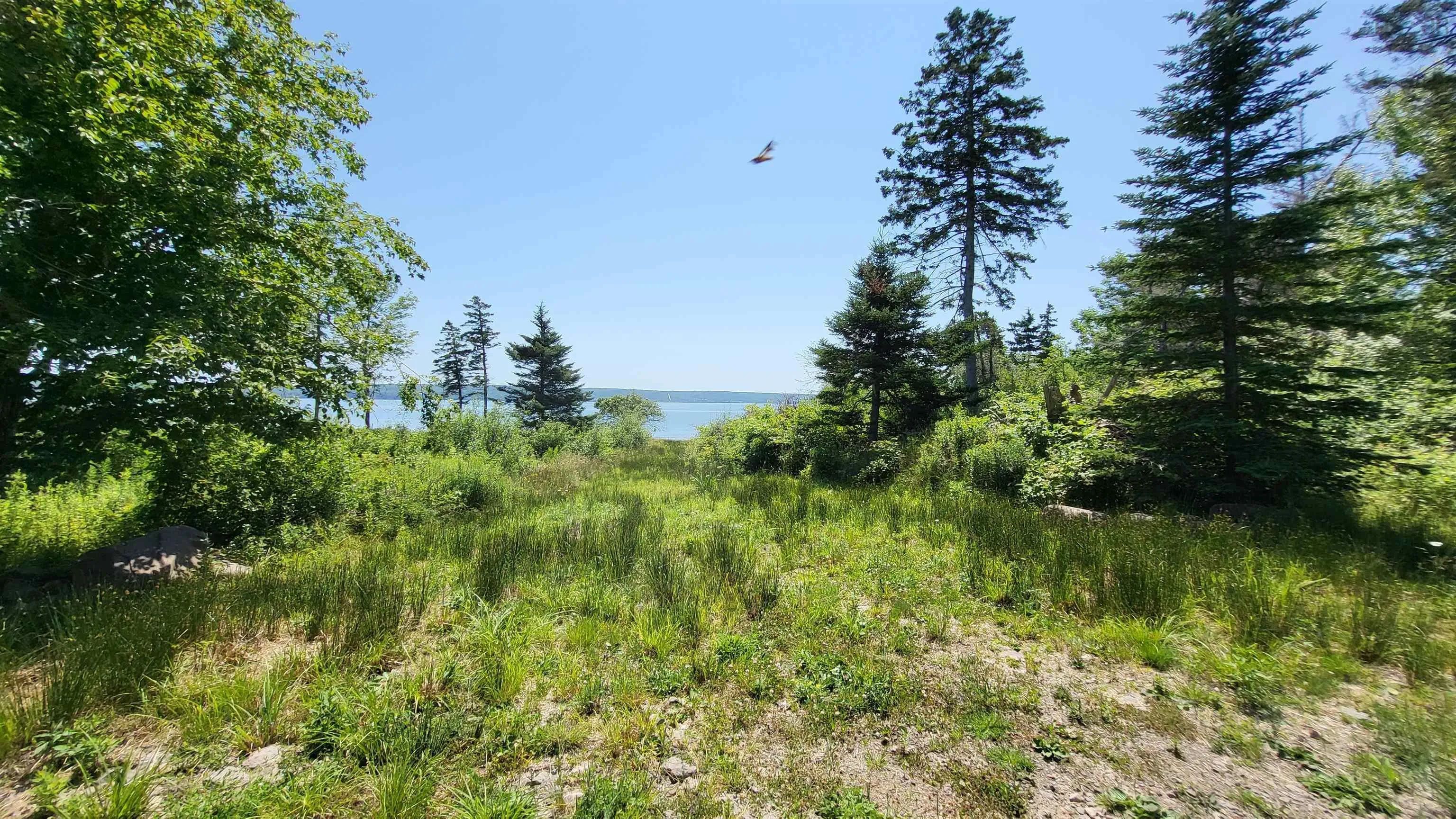 2628 Granville Road, Karsdale, NS B0S 1A0, ,Land,For Sale,Granville Road,202518060