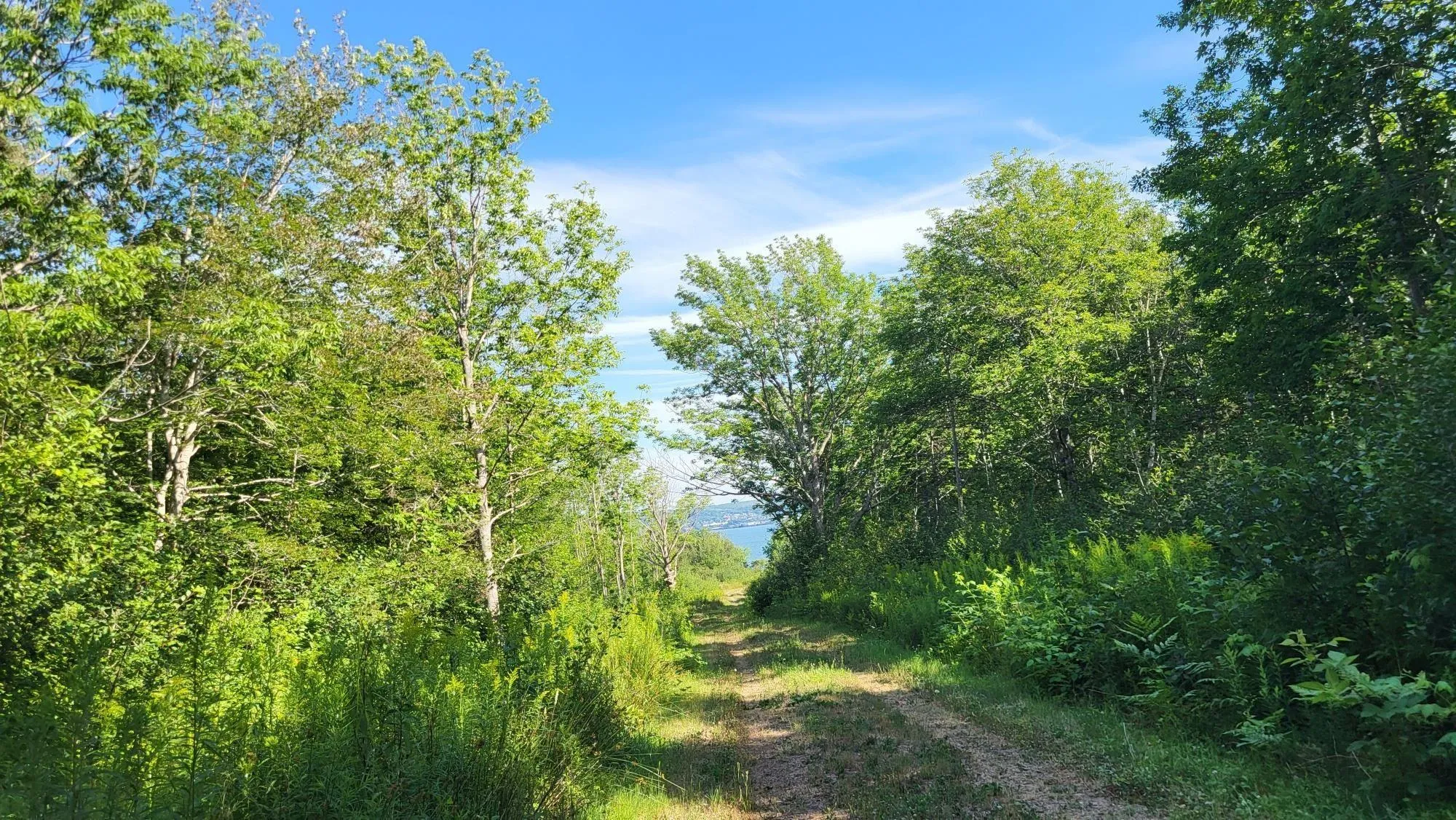 2628 Granville Road, Karsdale, NS B0S 1A0, ,Land,For Sale,Granville Road,202518060