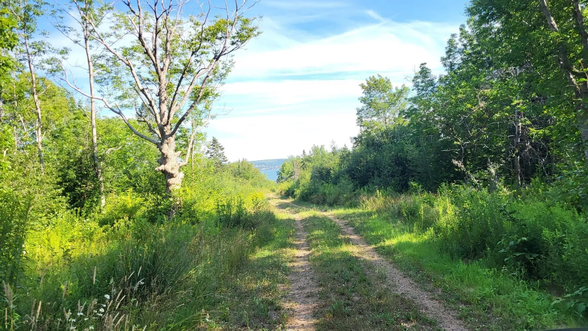2628 Granville Road, Karsdale, NS B0S 1A0, ,Land,For Sale,Granville Road,202518060