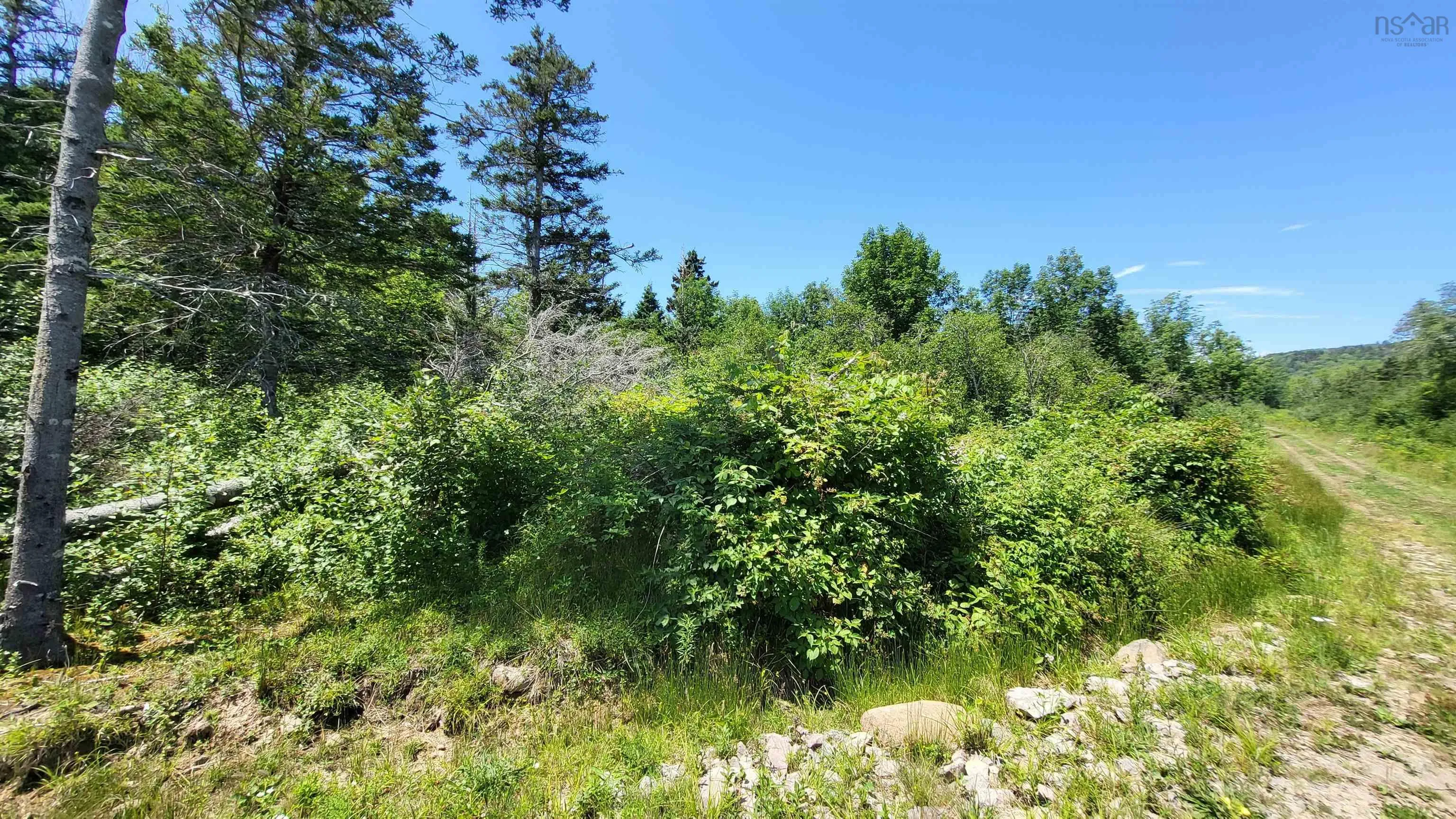 2628 Granville Road, Karsdale, NS B0S 1A0, ,Land,For Sale,Granville Road,202518060