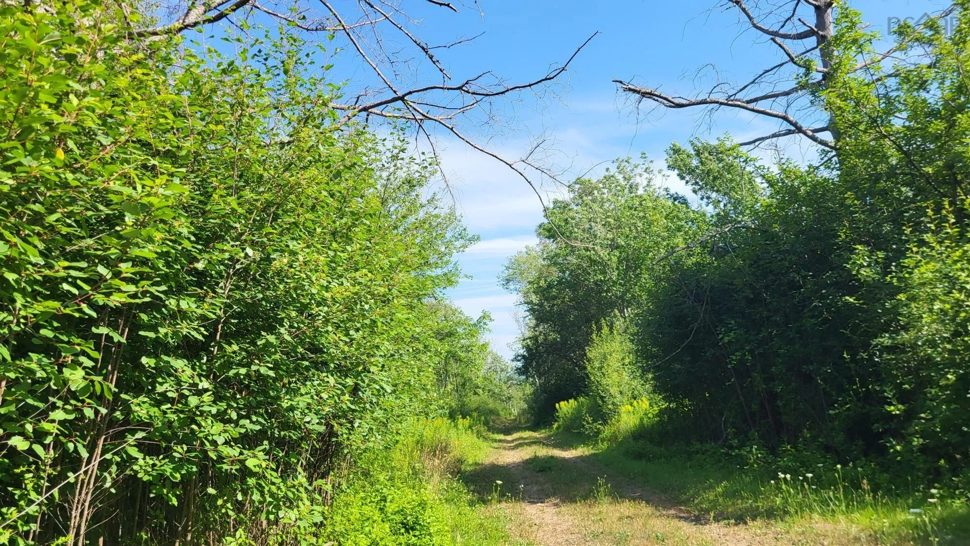 2628 Granville Road, Karsdale, NS B0S 1A0, ,Land,For Sale,Granville Road,202518060