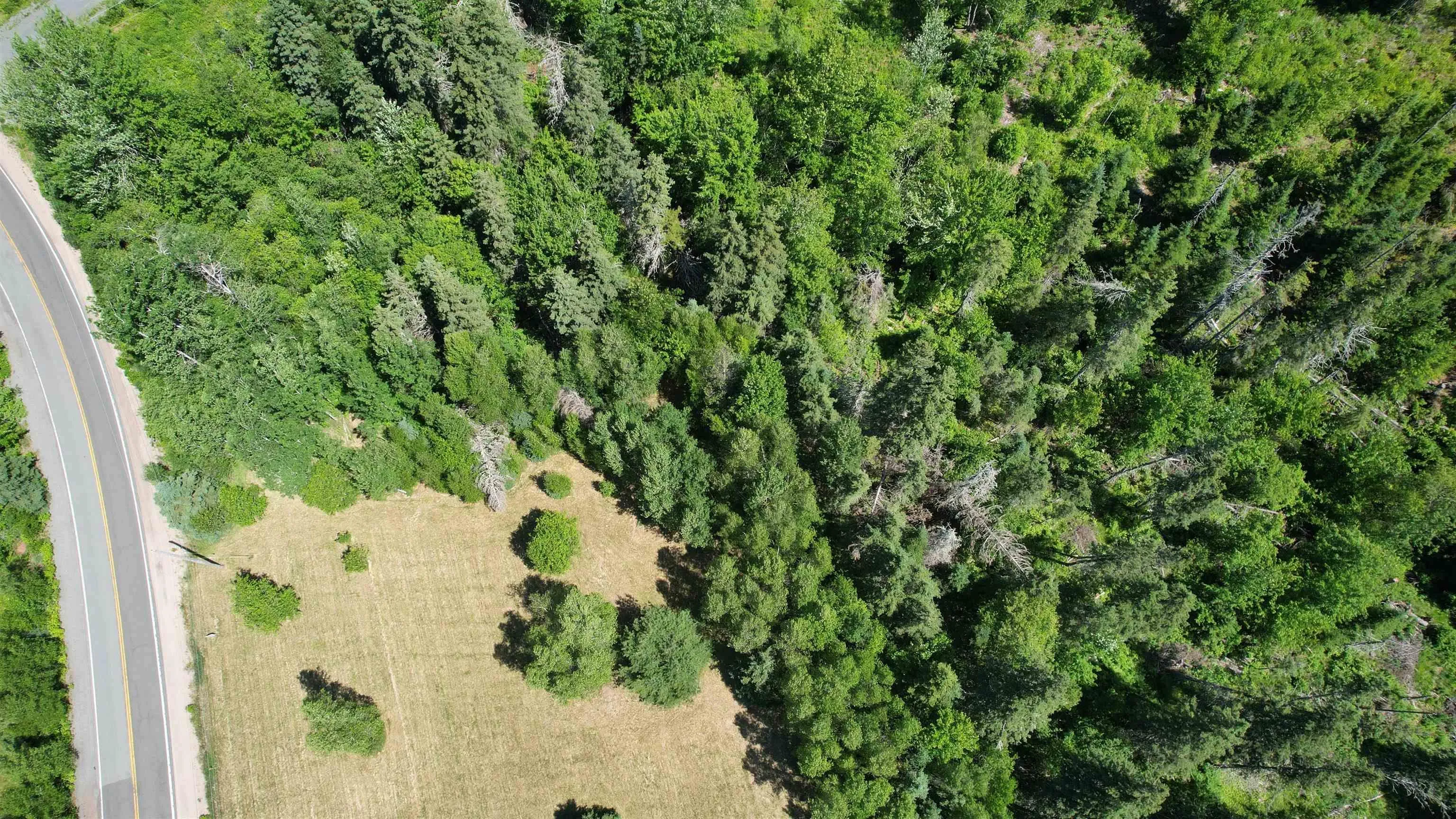 700 307 Highway, Wentworth, NS B0M 1Z0, ,Land,For Sale,307,202521775