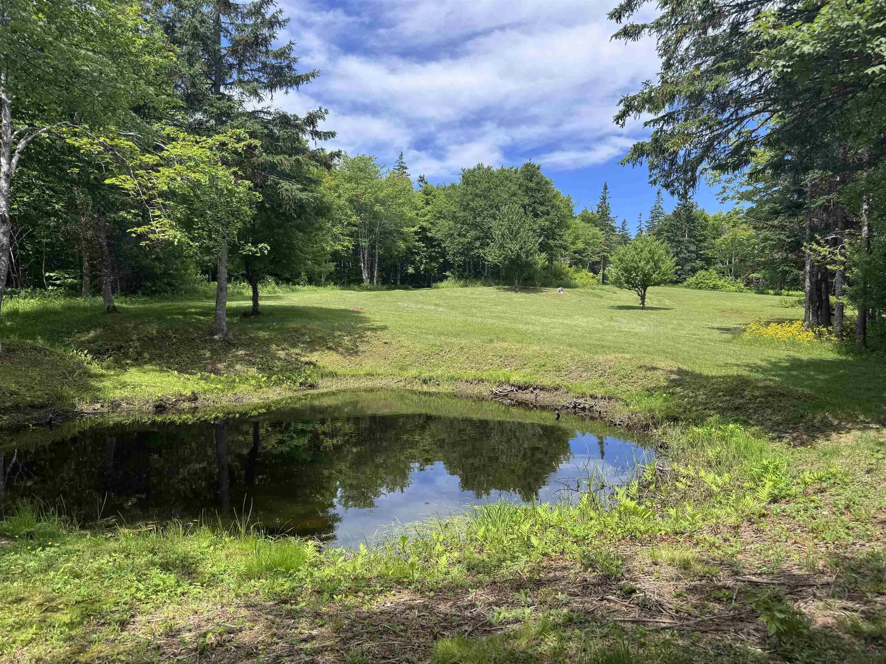 811 River Denys Mountain Road, Glendale, NS B0E 2Y0, 1 Bedroom Bedrooms, ,Residential,For Sale,River Denys Mountain,202517472