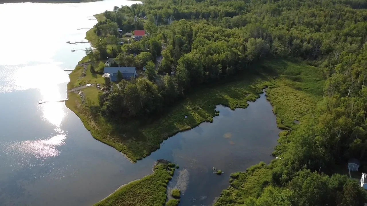 Murray Lane, Chance Harbour, NS B0K 1X0, ,Land,For Sale,Murray,202520815