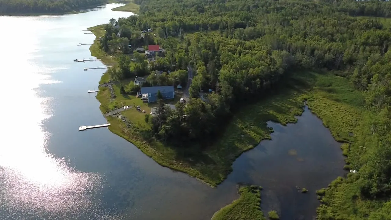 Murray Lane, Chance Harbour, NS B0K 1X0, ,Land,For Sale,Murray,202520815
