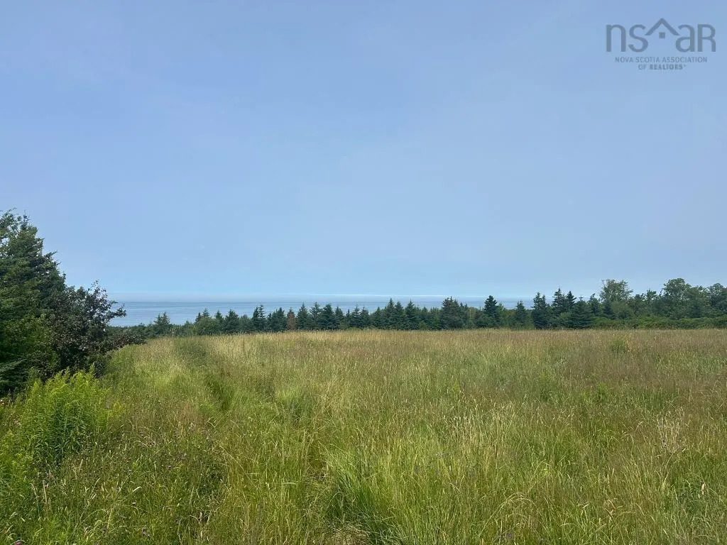 360 Port Lorne Road, Port Lorne, NS B0S 1R0, ,Land,For Sale,Port Lorne,202517541