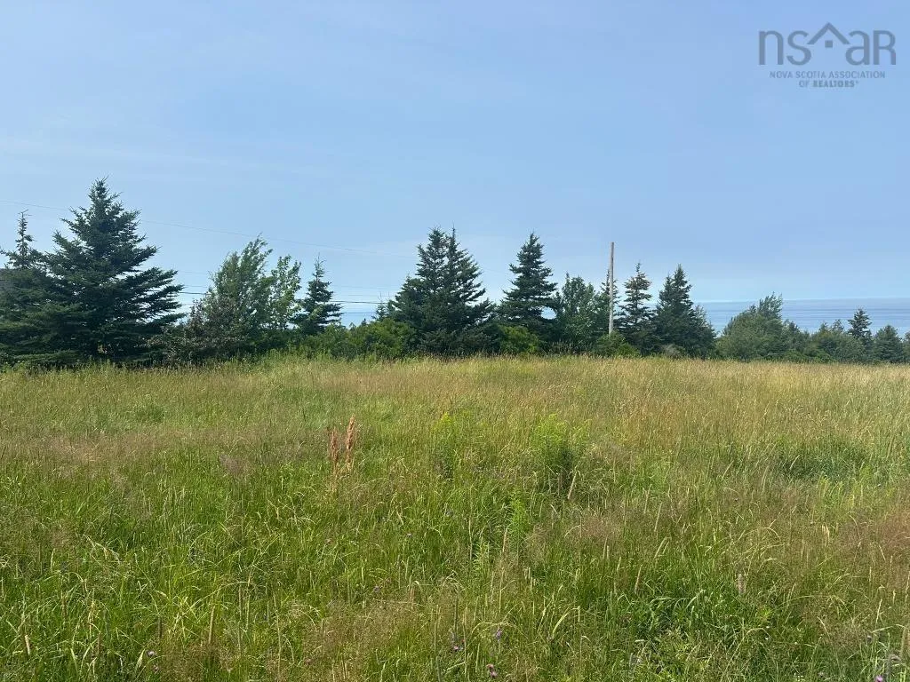 360 Port Lorne Road, Port Lorne, NS B0S 1R0, ,Land,For Sale,Port Lorne,202517541