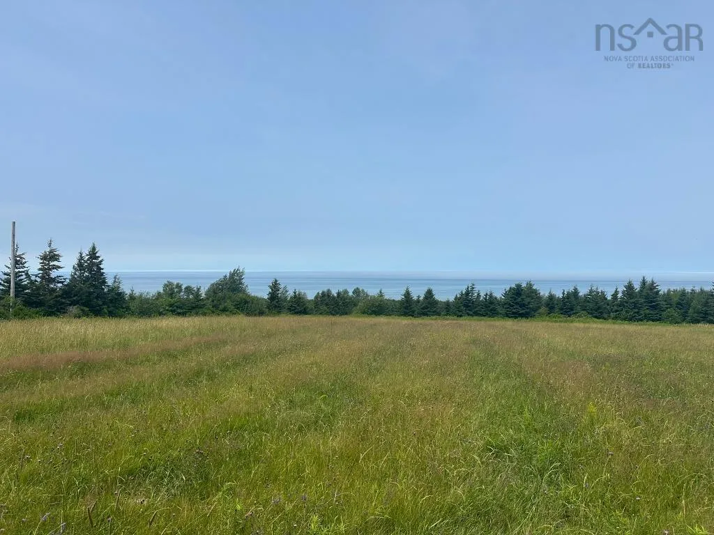 360 Port Lorne Road, Port Lorne, NS B0S 1R0, ,Land,For Sale,Port Lorne,202517541