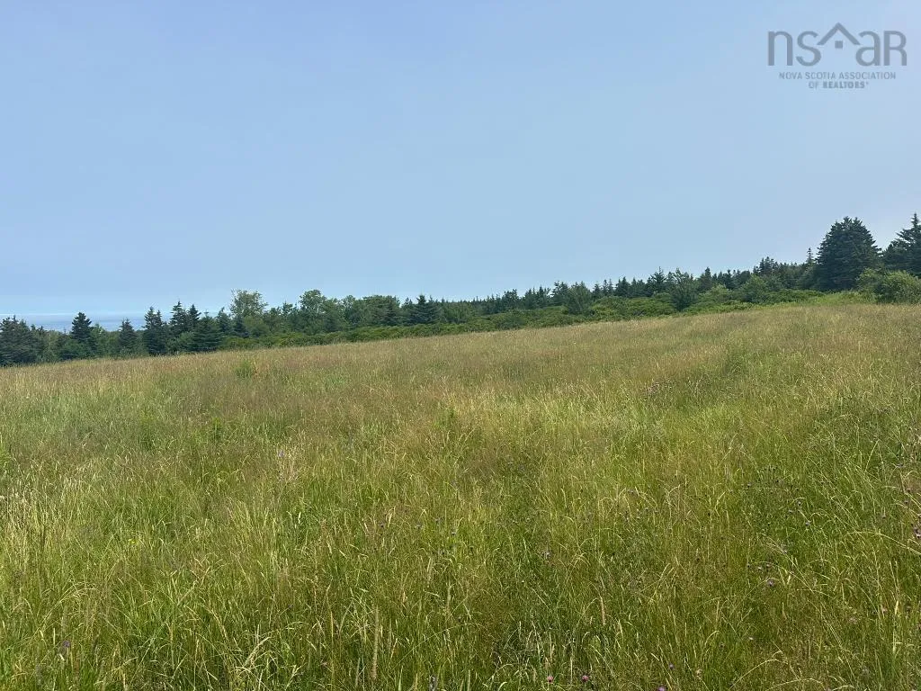 360 Port Lorne Road, Port Lorne, NS B0S 1R0, ,Land,For Sale,Port Lorne,202517541
