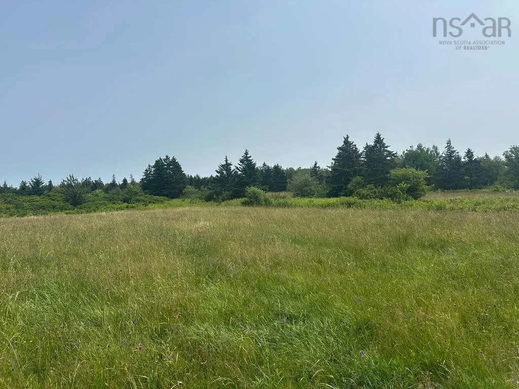 360 Port Lorne Road, Port Lorne, NS B0S 1R0, ,Land,For Sale,Port Lorne,202517541