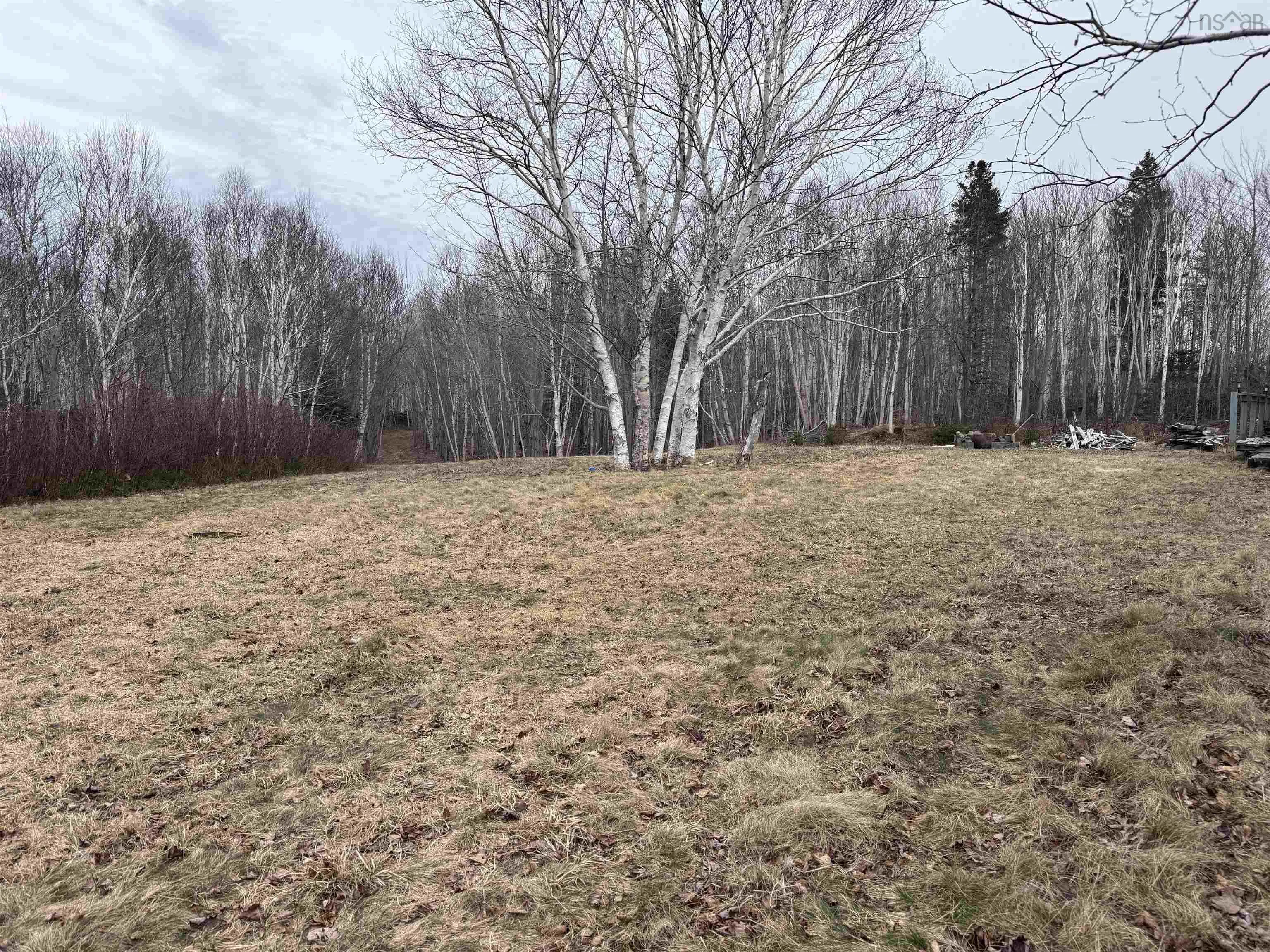 2058 New Campbellton Road, Cape Dauphin Ns B1x 1x5, ,Land,For Sale,New Campbellton Road,202506026