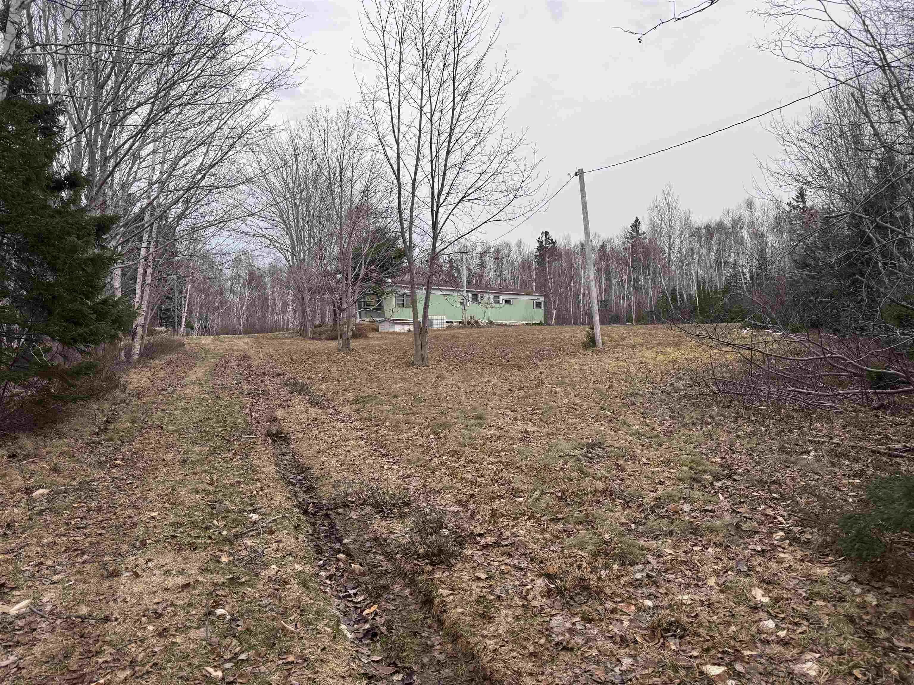 2058 New Campbellton Road, Cape Dauphin Ns B1x 1x5, ,Land,For Sale,New Campbellton Road,202506026