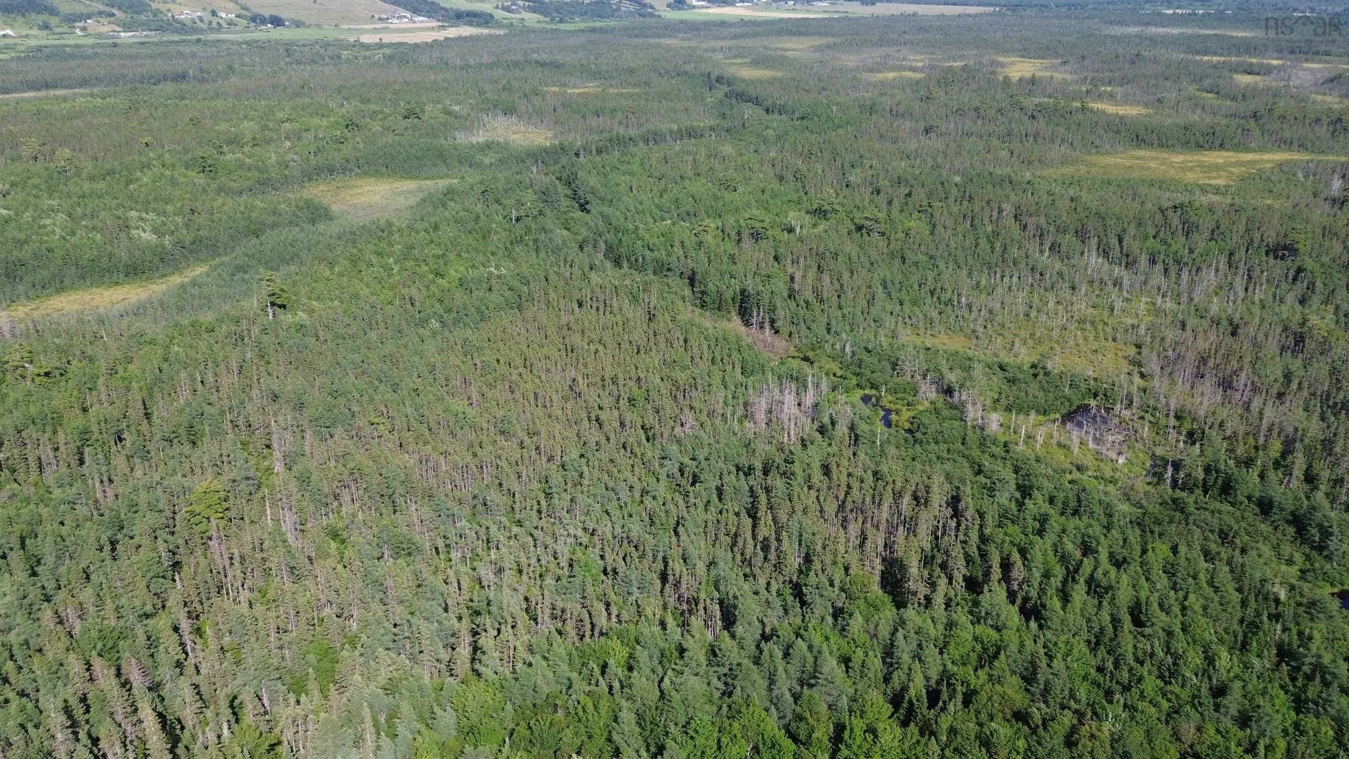 Highway 105, Kingsville, NS B0E 3L0, ,Land,For Sale,Highway 105,202517706