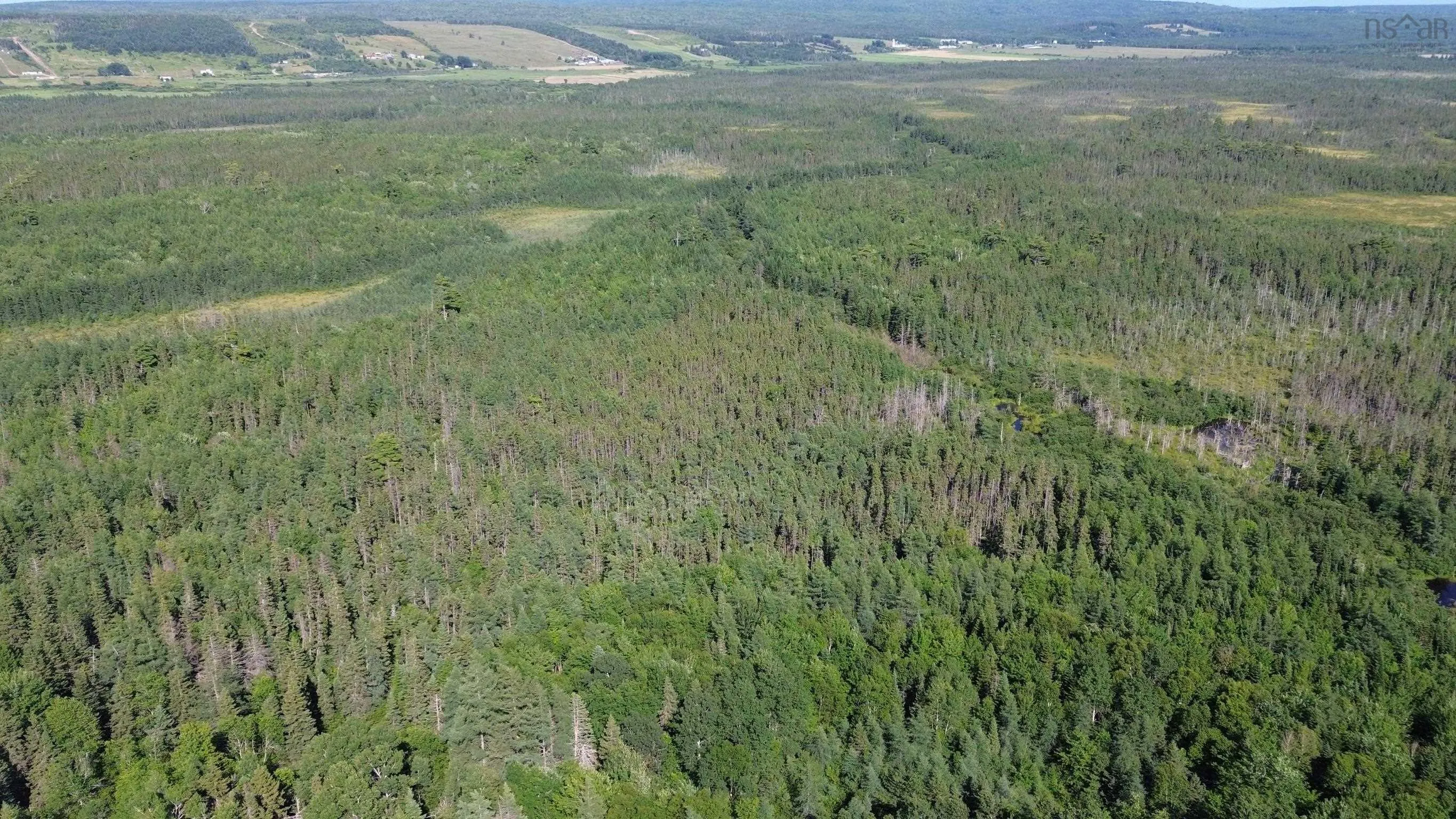 Highway 105, Kingsville, NS B0E 3L0, ,Land,For Sale,Highway 105,202517706